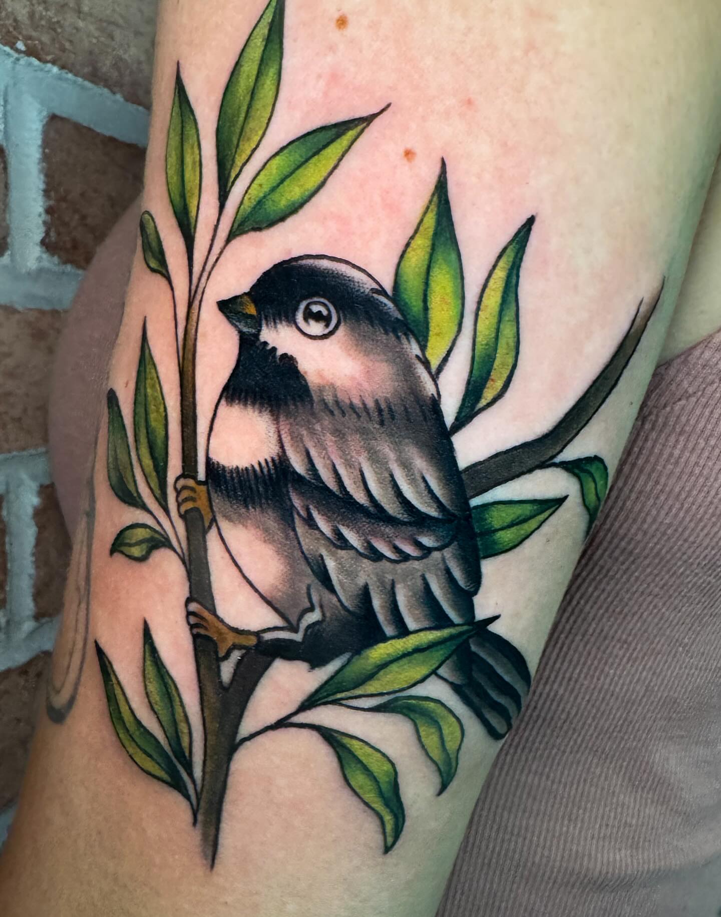 Bird American traditional tattoo on the forearm by Perrey