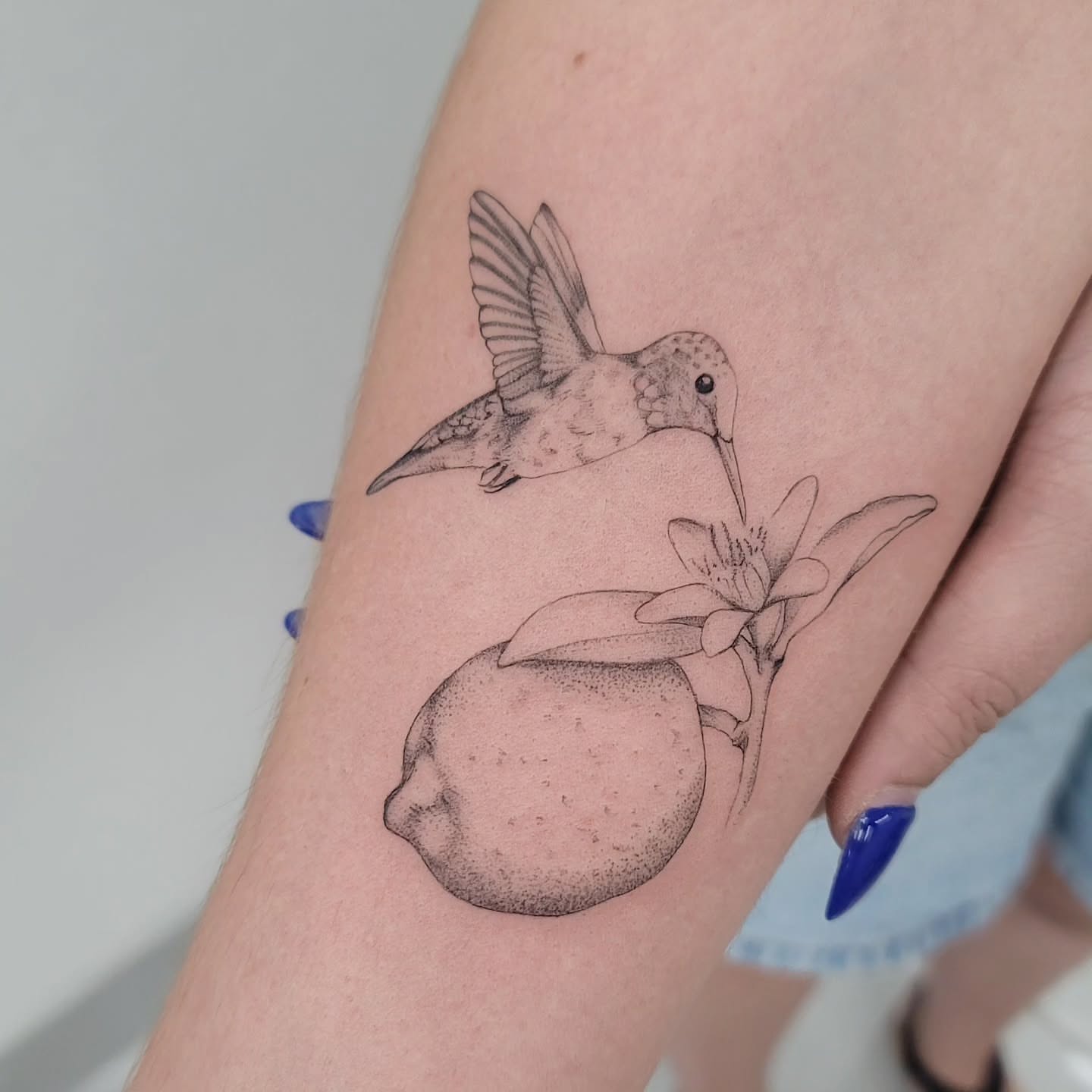 Hummingbird and lemon dotwork tattoo on the forearm by Las Vegas Fine Line Tattoos