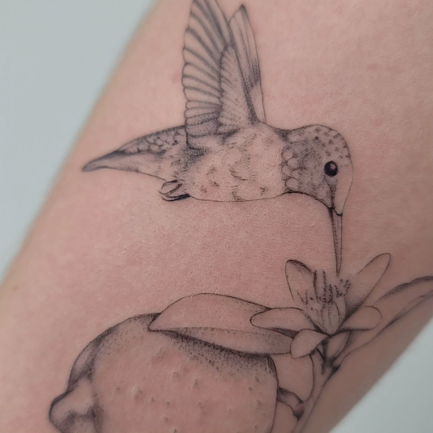 Hummingbird and flower dotwork tattoo on the forearm by Las Vegas Fine Line Tattoos