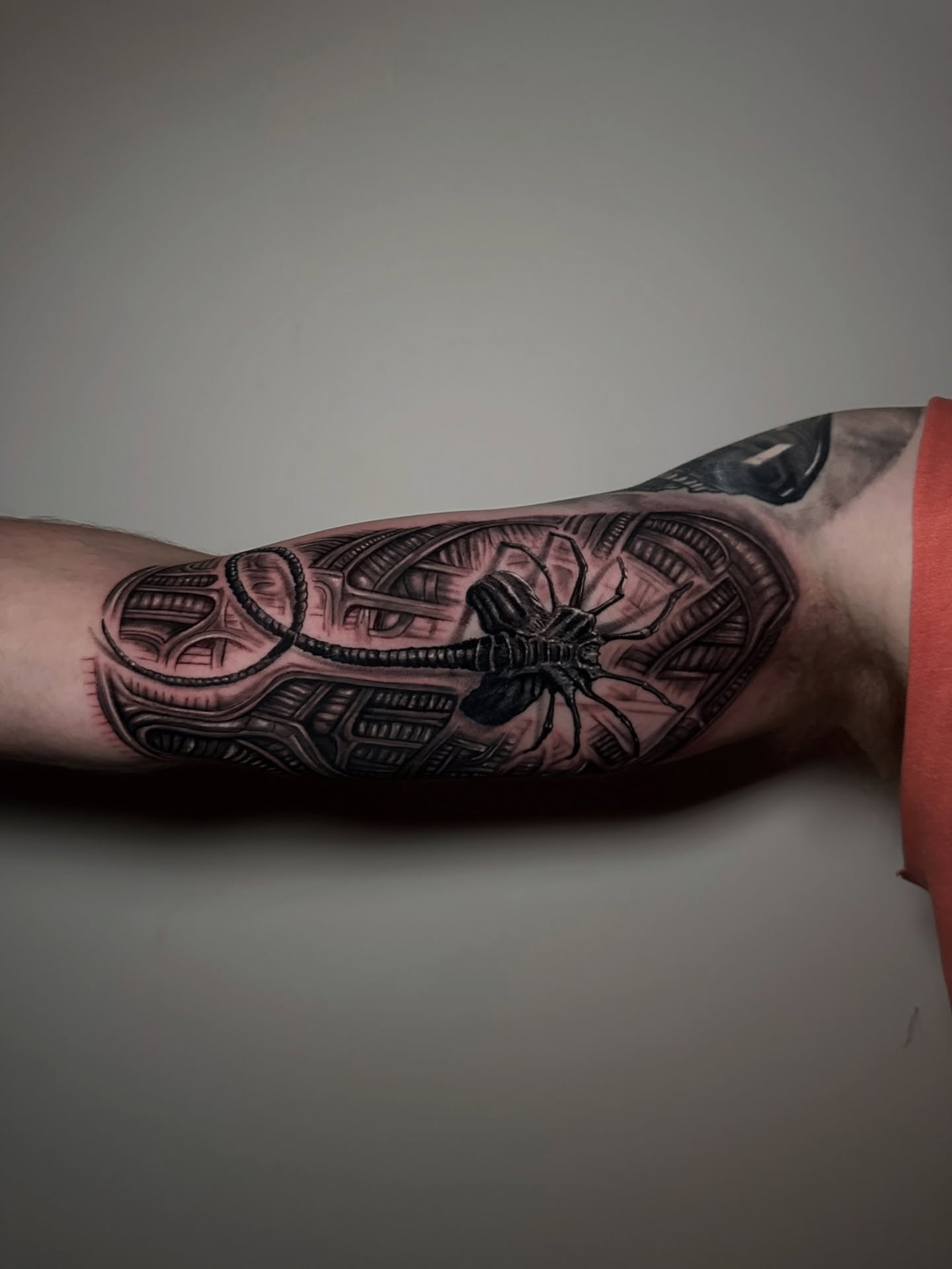 Insect realism tattoo on the forearm by Héctor Agudelo