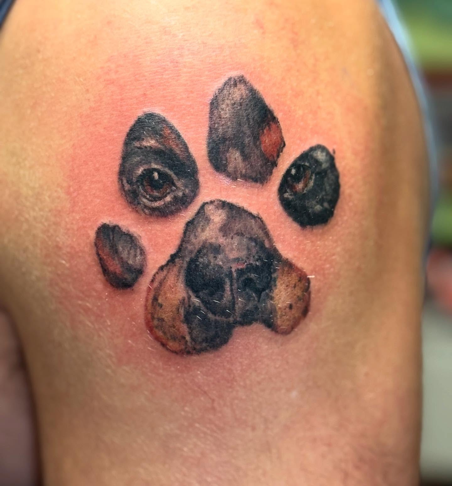 Dog paw print realism tattoo on the shoulder by Tattoos By Trish