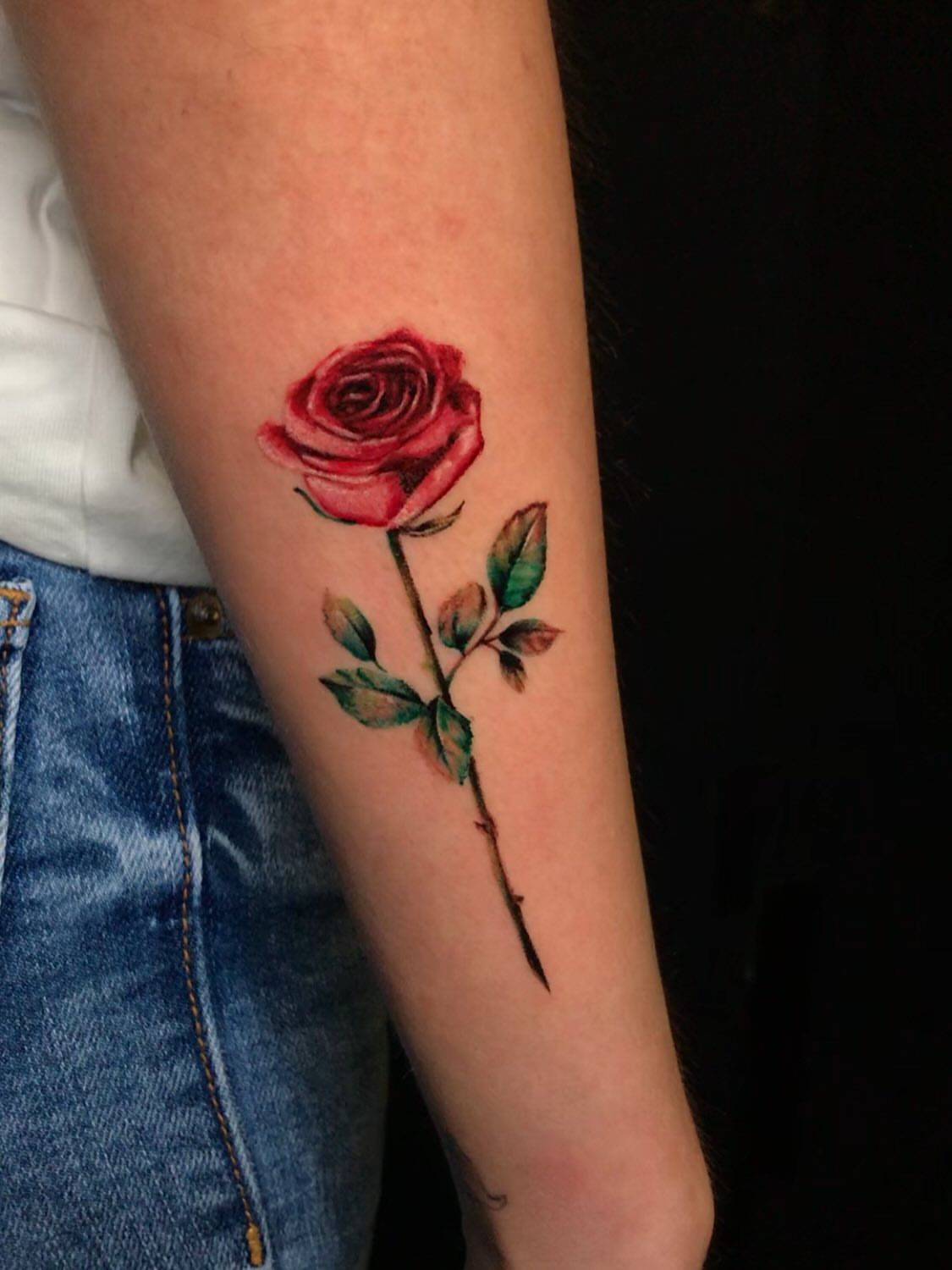 Red rose realism tattoo on the forearm by Aren