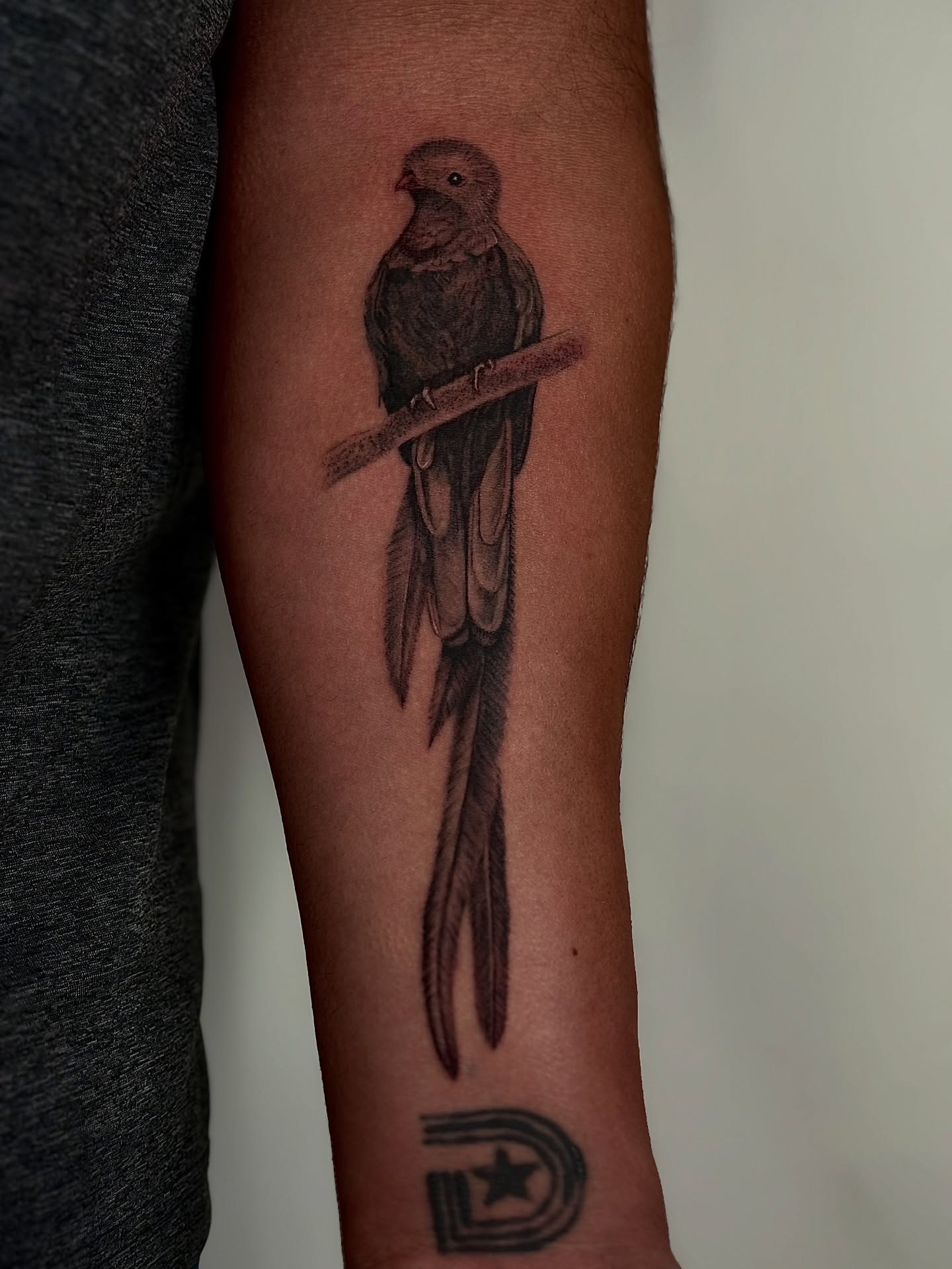 Bird realism tattoo on the forearm by @tattotos