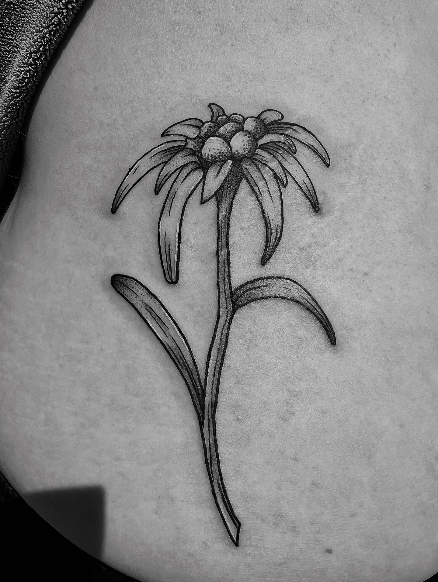Tattoo by @kittymarietattoos โ dotwork