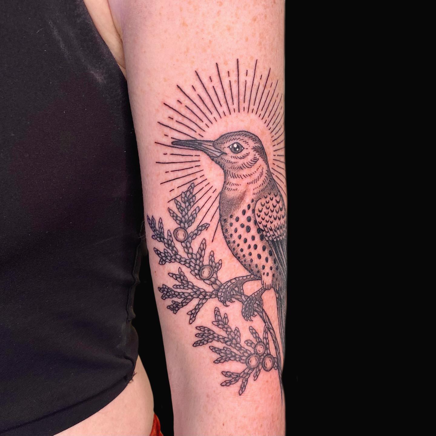 Woodpecker black and grey tattoo on the forearm by Krista - Tattoo Artist