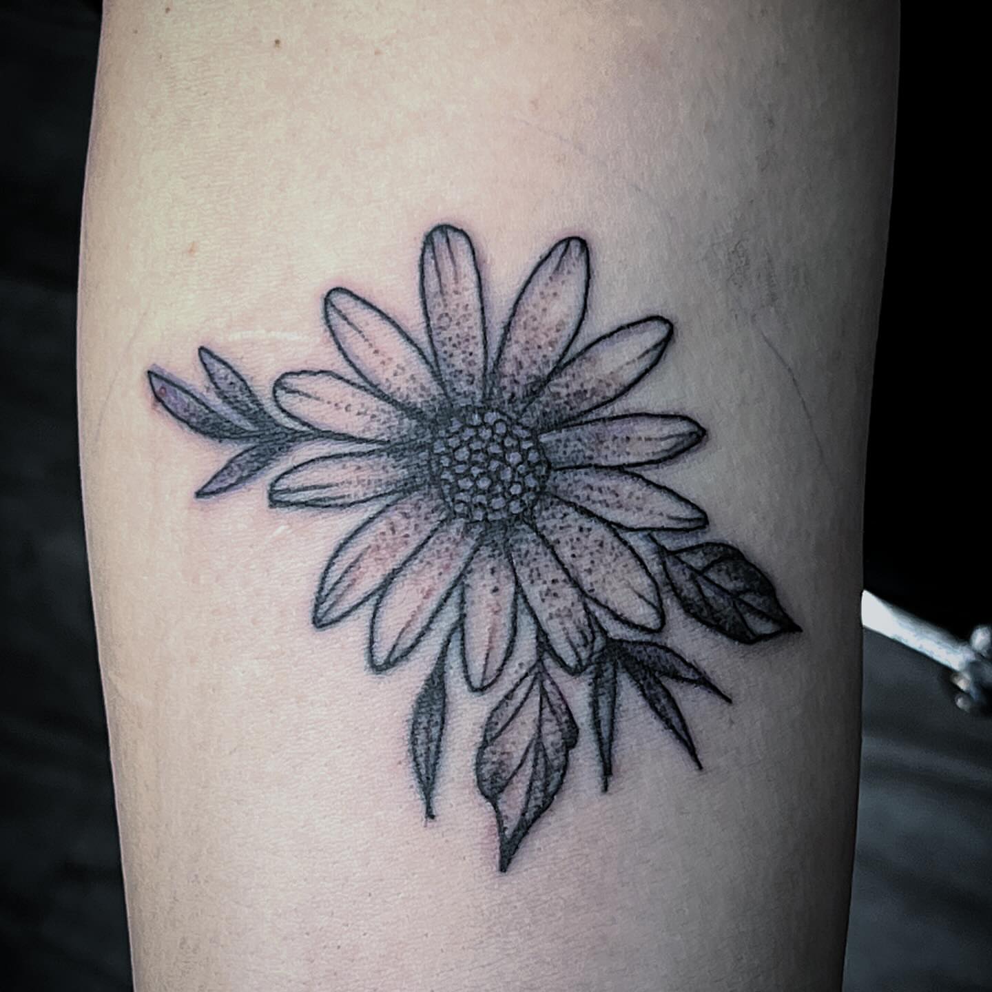 Daisy dotwork tattoo on the forearm by Davidsteeletattoos, Dallas, Texas