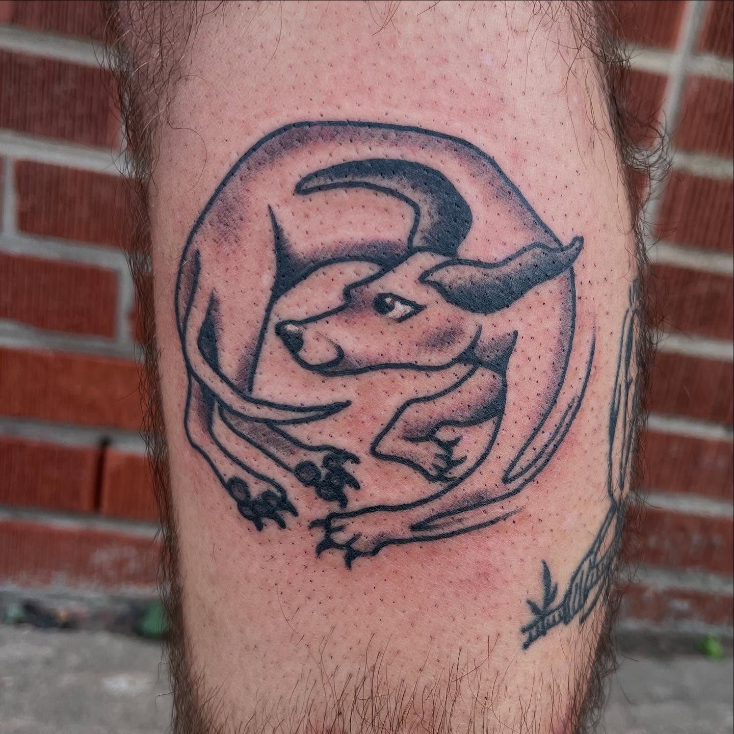 Tattoo by GABRIEL MESSA, Golden, Colorado