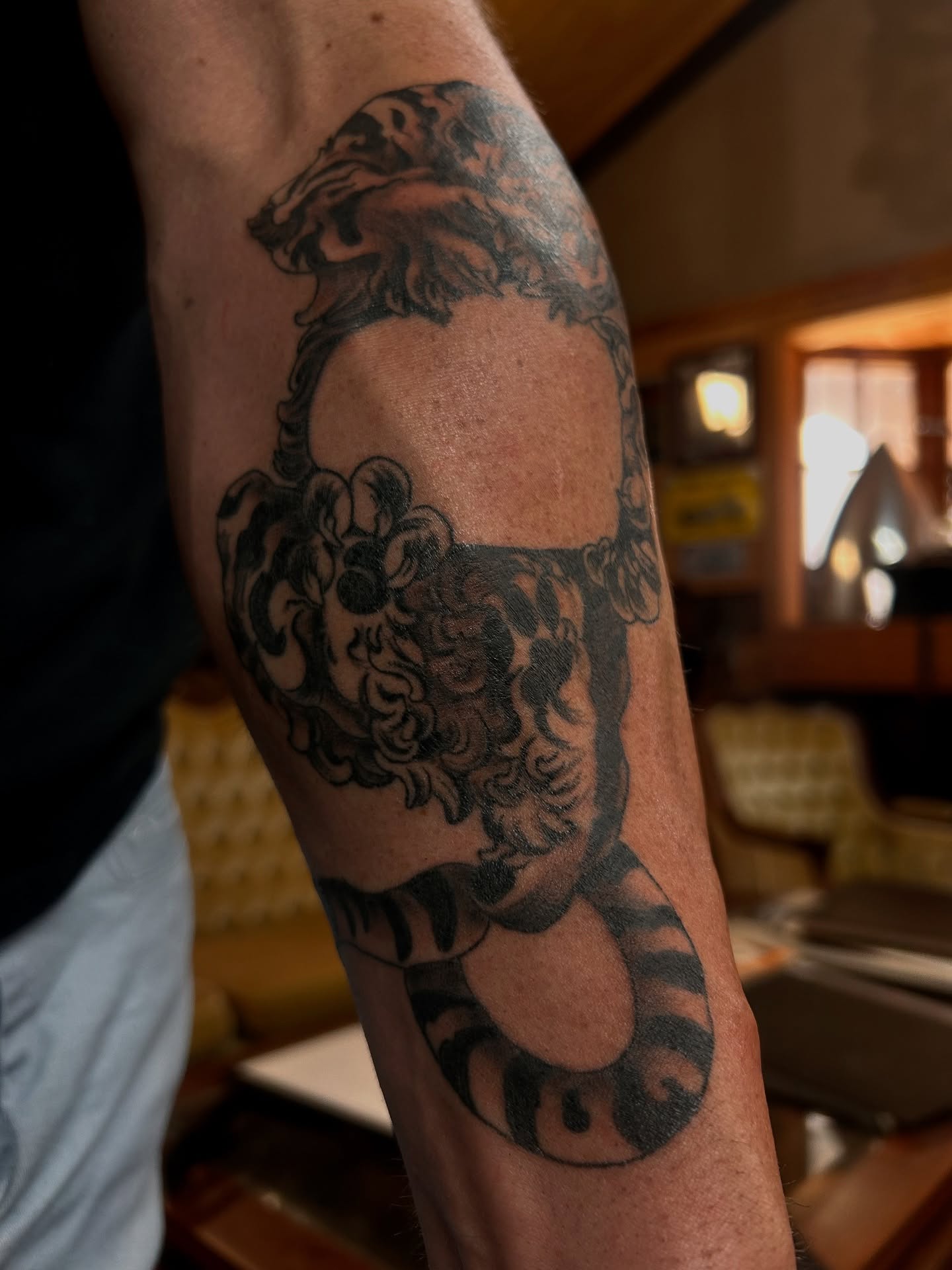 Lion and floral American traditional tattoo on the forearm by Amara Lyons, Matakana, New Zealand