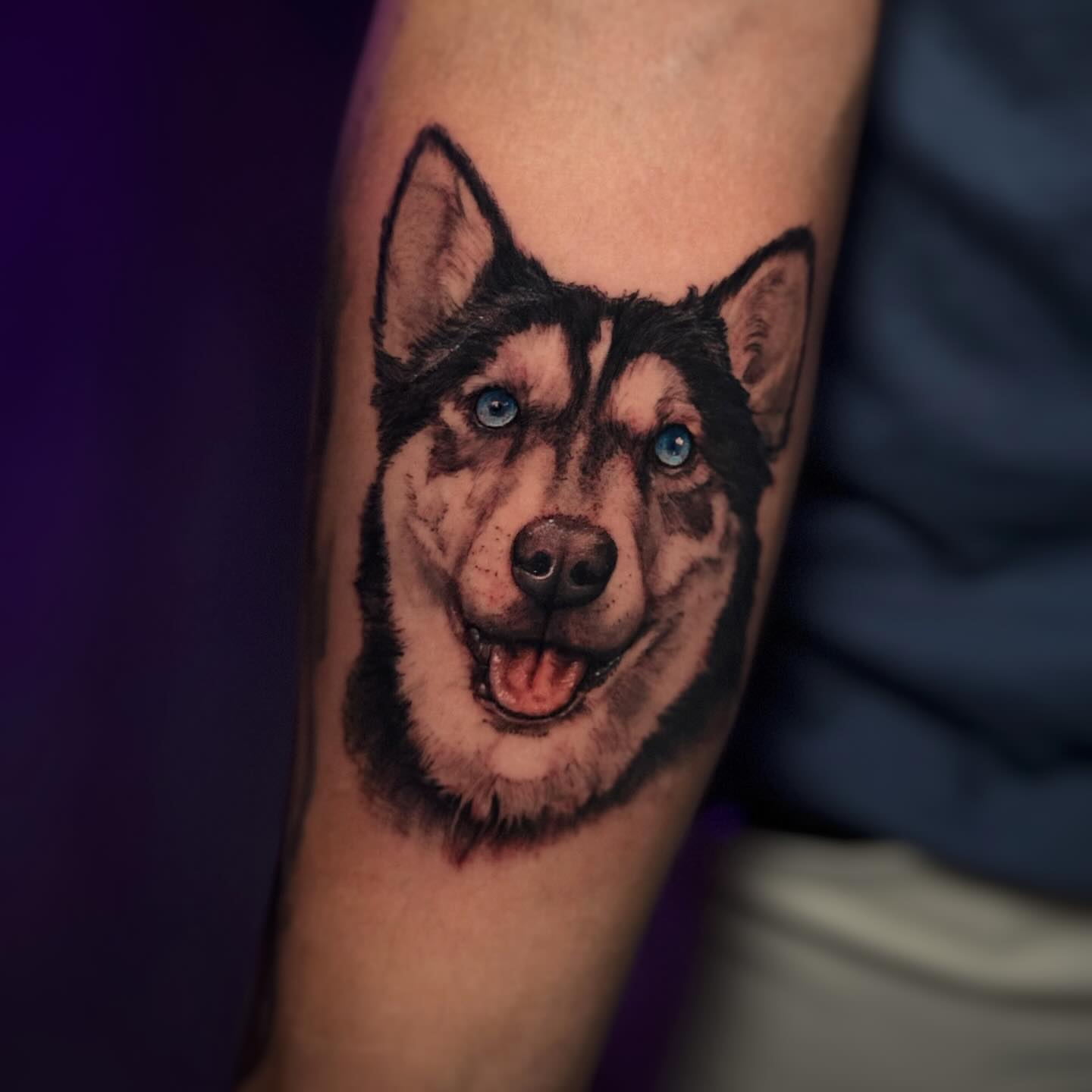 Husky dog realism tattoo on the forearm by Juan Russo