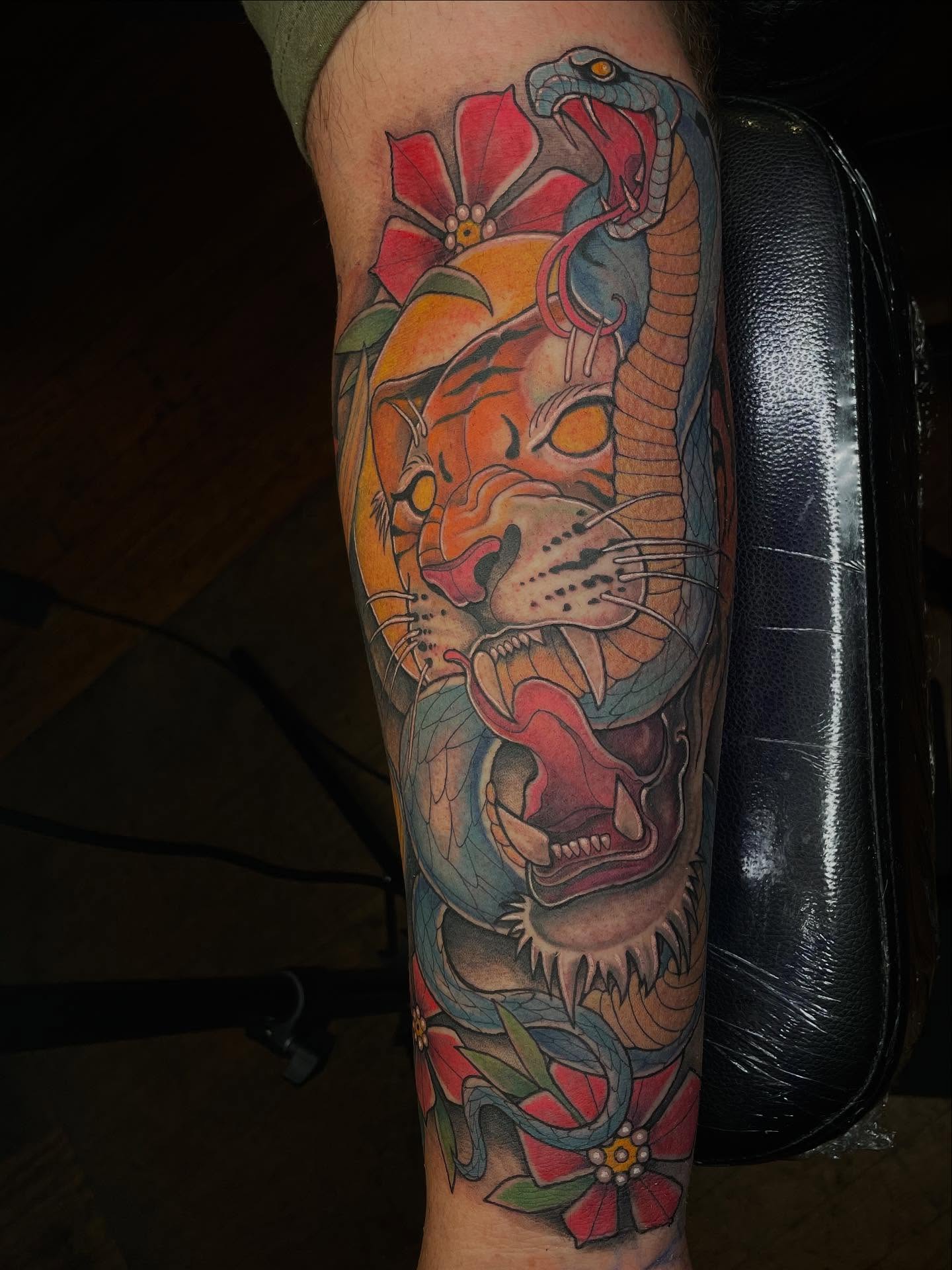 Tiger and snake American traditional tattoo on the forearm by Lauren Sisouphanh, Canton, Ohio