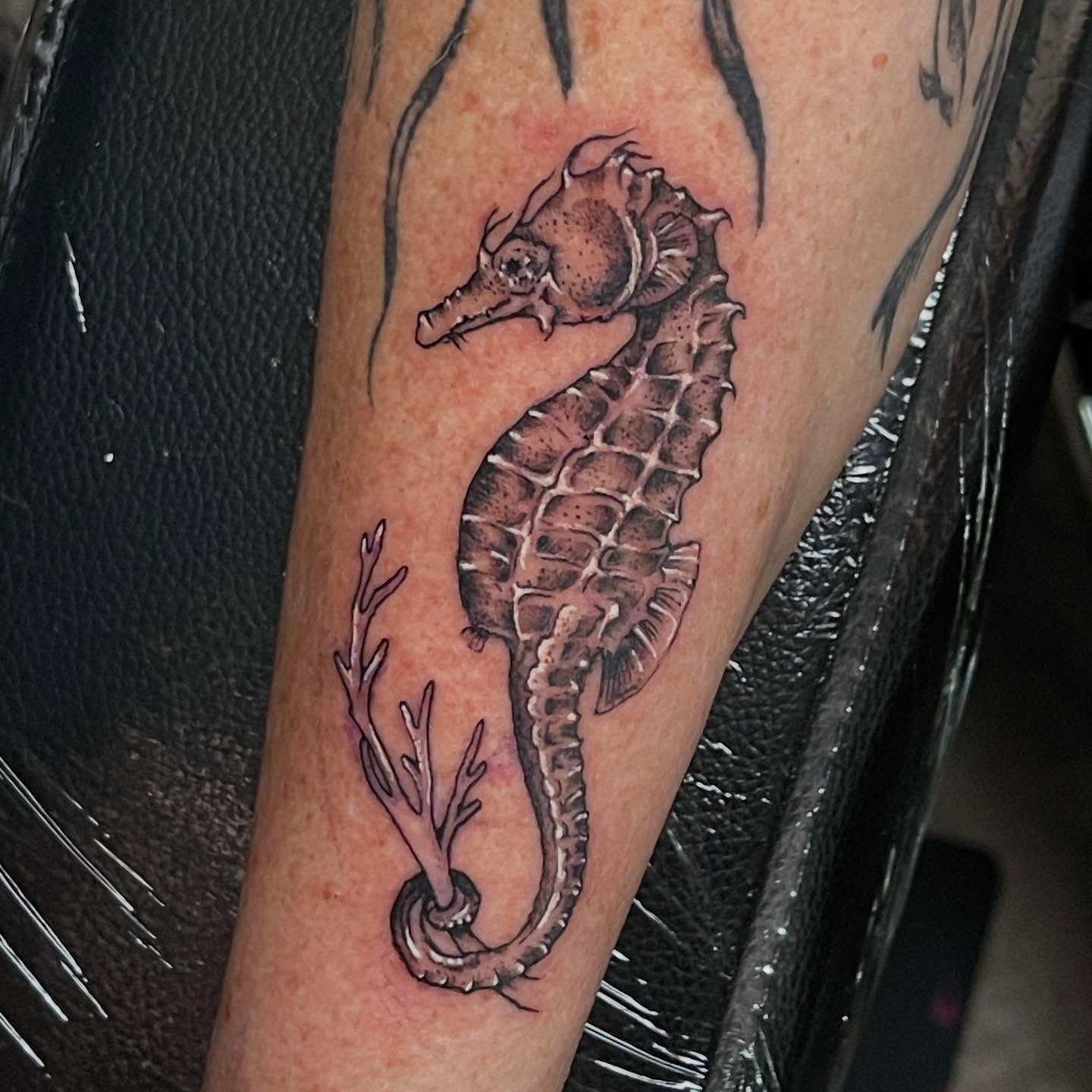 Seahorse realism tattoo on the forearm by 🪴Amanda Lugo🪴 Ocala Tattoo Artist