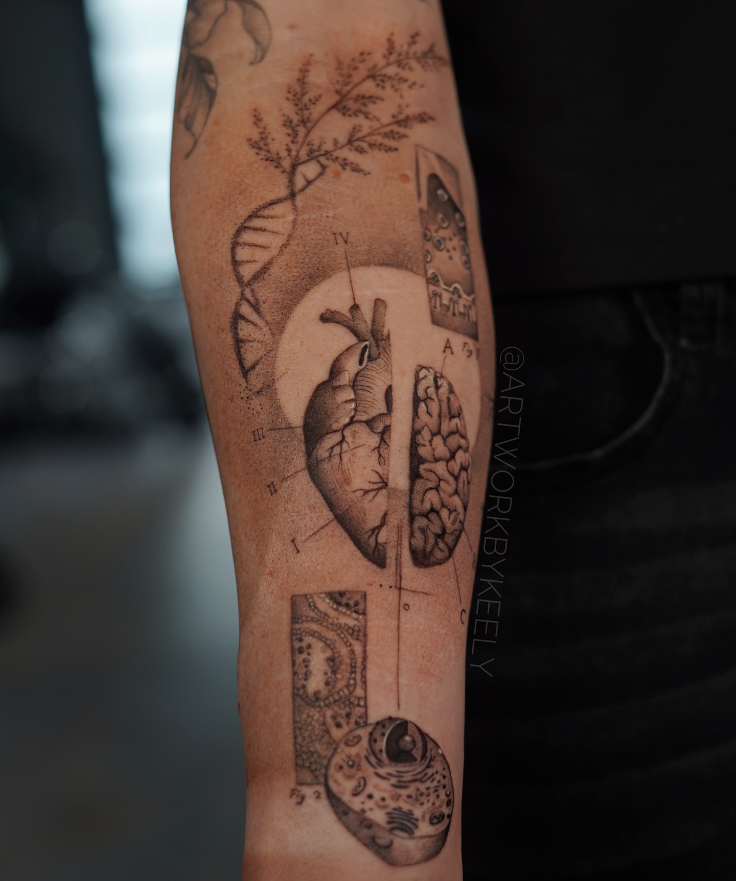 Anatomical illustrations realism tattoo on the forearm by Keely Thompson
