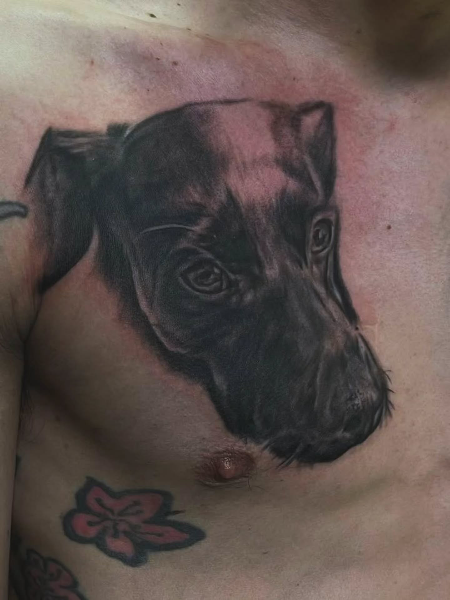 Tattoo by @tattoosbytyler88 — realism