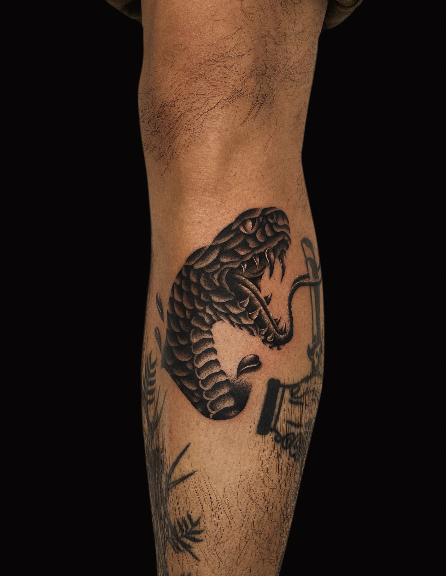 Snake black and grey tattoo on the forearm by Jason