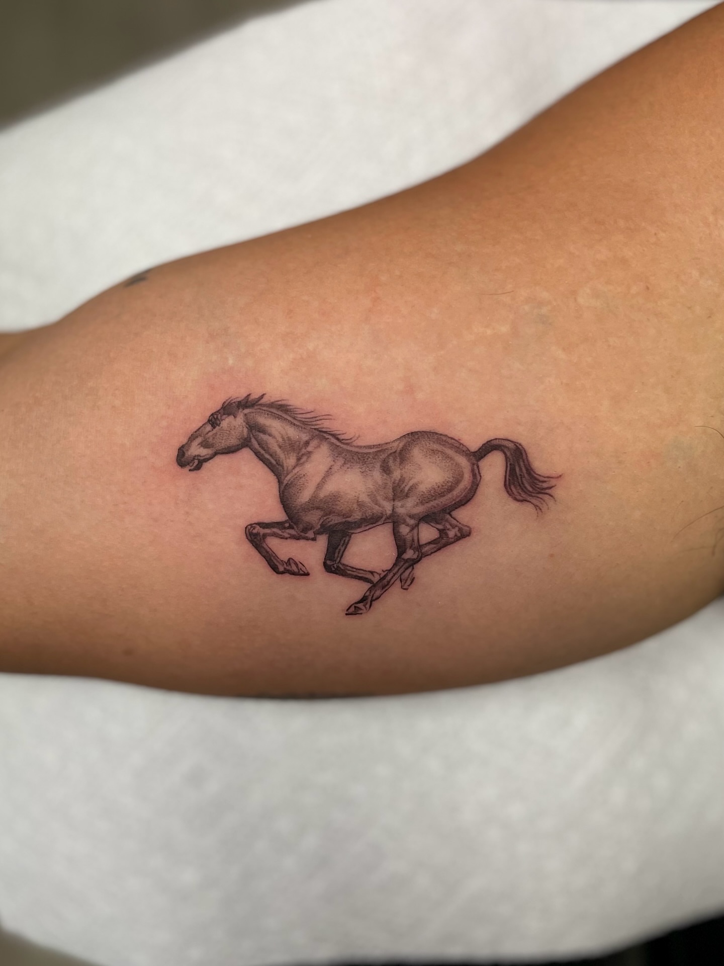 Running horse realism tattoo on the forearm by Vanessa Valdivia