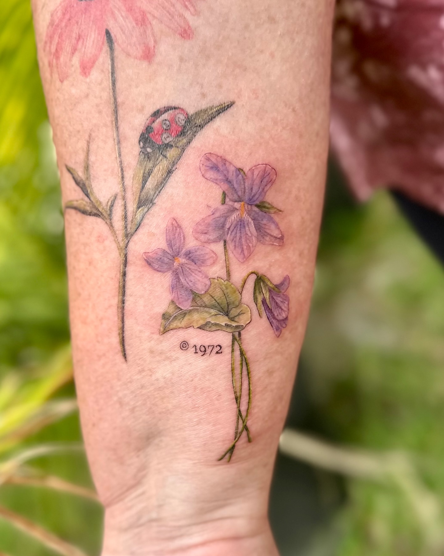 Violet flowers and ladybug watercolor tattoo on the forearm by 🌼Kristen Kooster Tattoos🌼