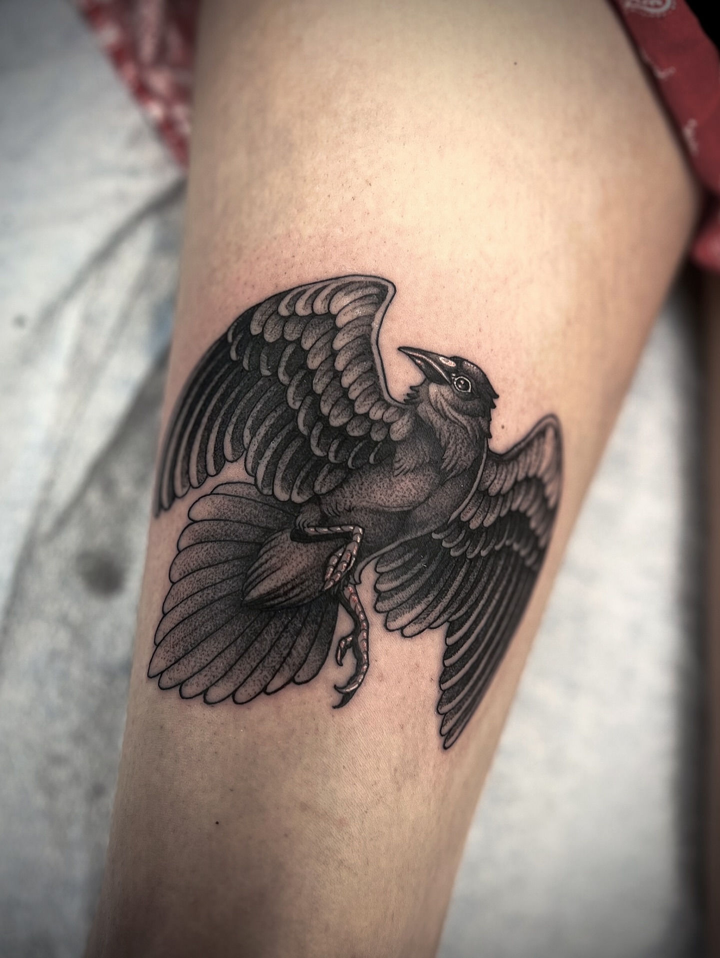 Crow dotwork tattoo on the thigh by Kaysee Shuster
