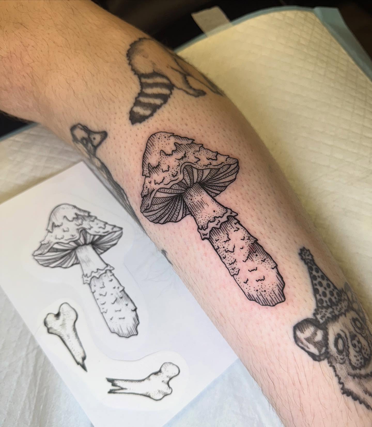Mushroom dotwork tattoo on the forearm by Tyla Pistak, Seattle, Washington