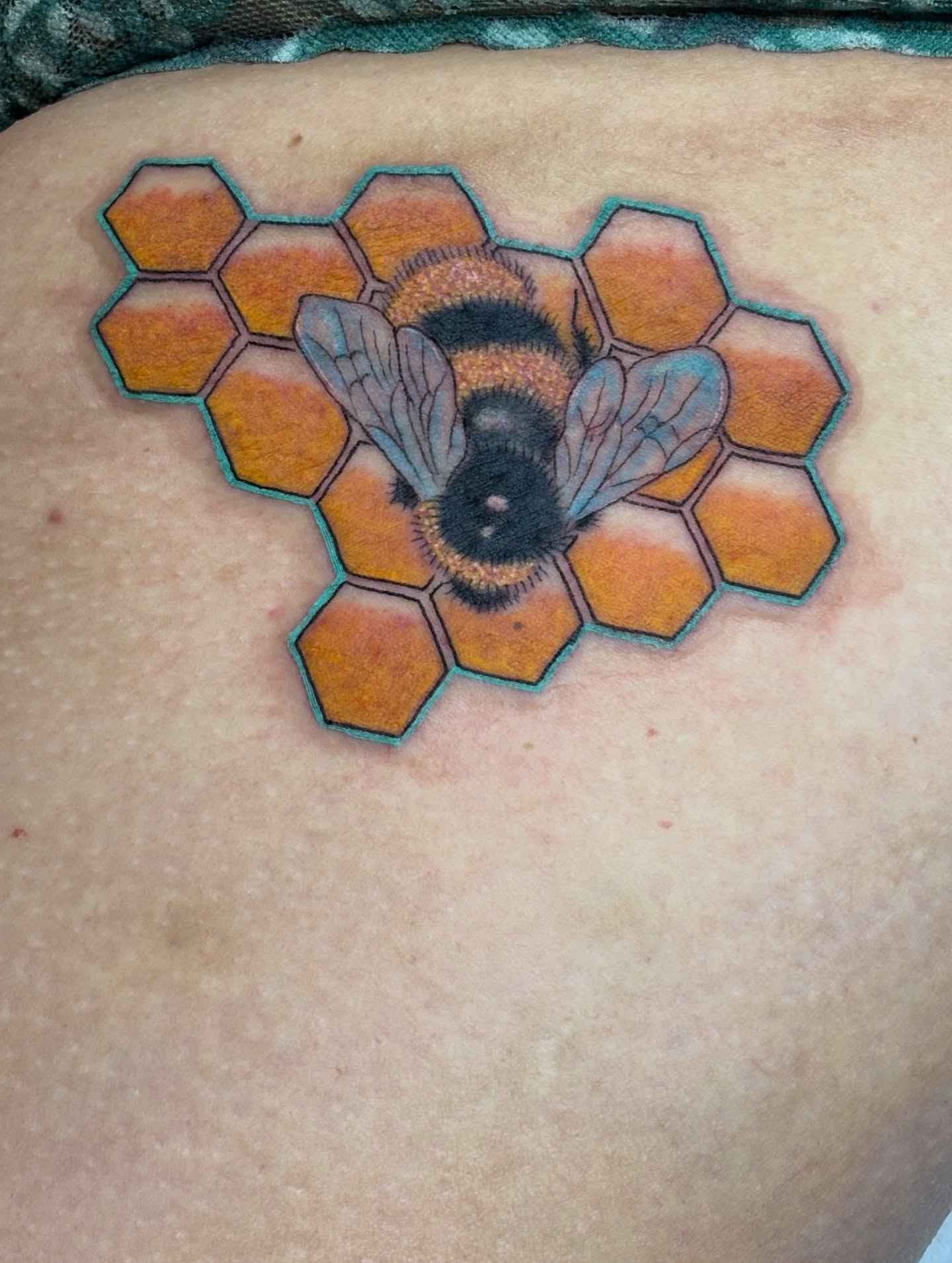 Bee and honeycomb realism tattoo on the back by ✨Dani Jackson✨, New Orleans, Louisiana