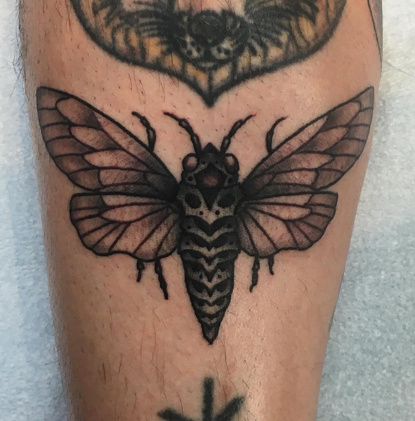 Death's-head hawkmoth black and grey tattoo on the forearm by Matt E.