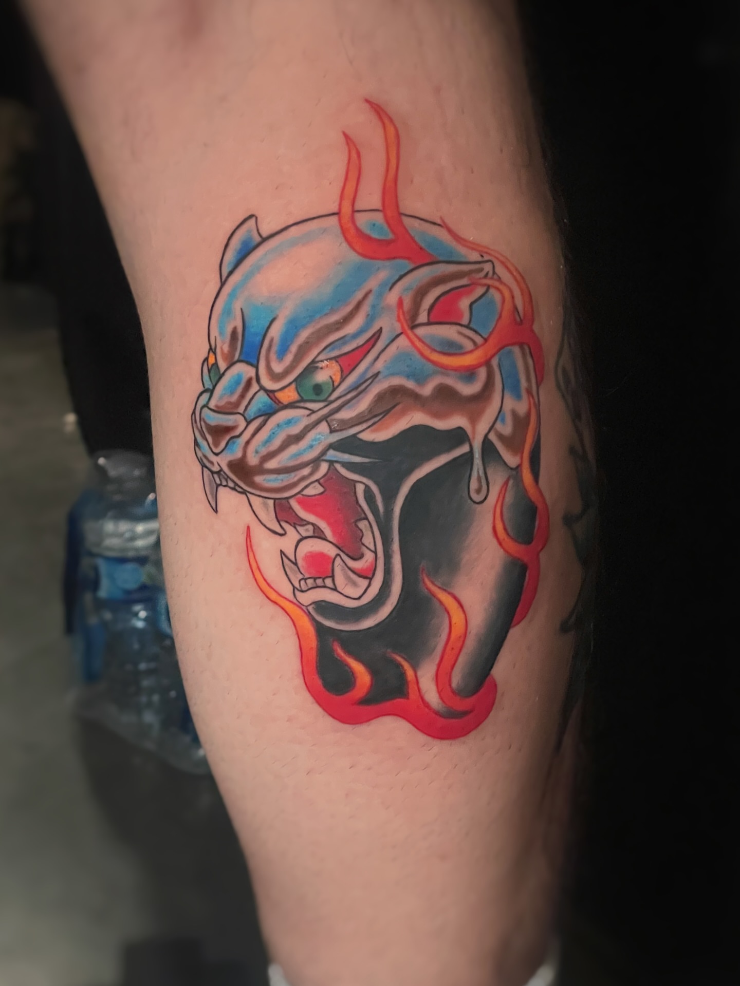 Roaring tiger new school tattoo on the forearm by 𝑲𝒂𝒊𝒕 𝑨𝒏𝒅𝒆𝒓𝒔𝒆𝒏