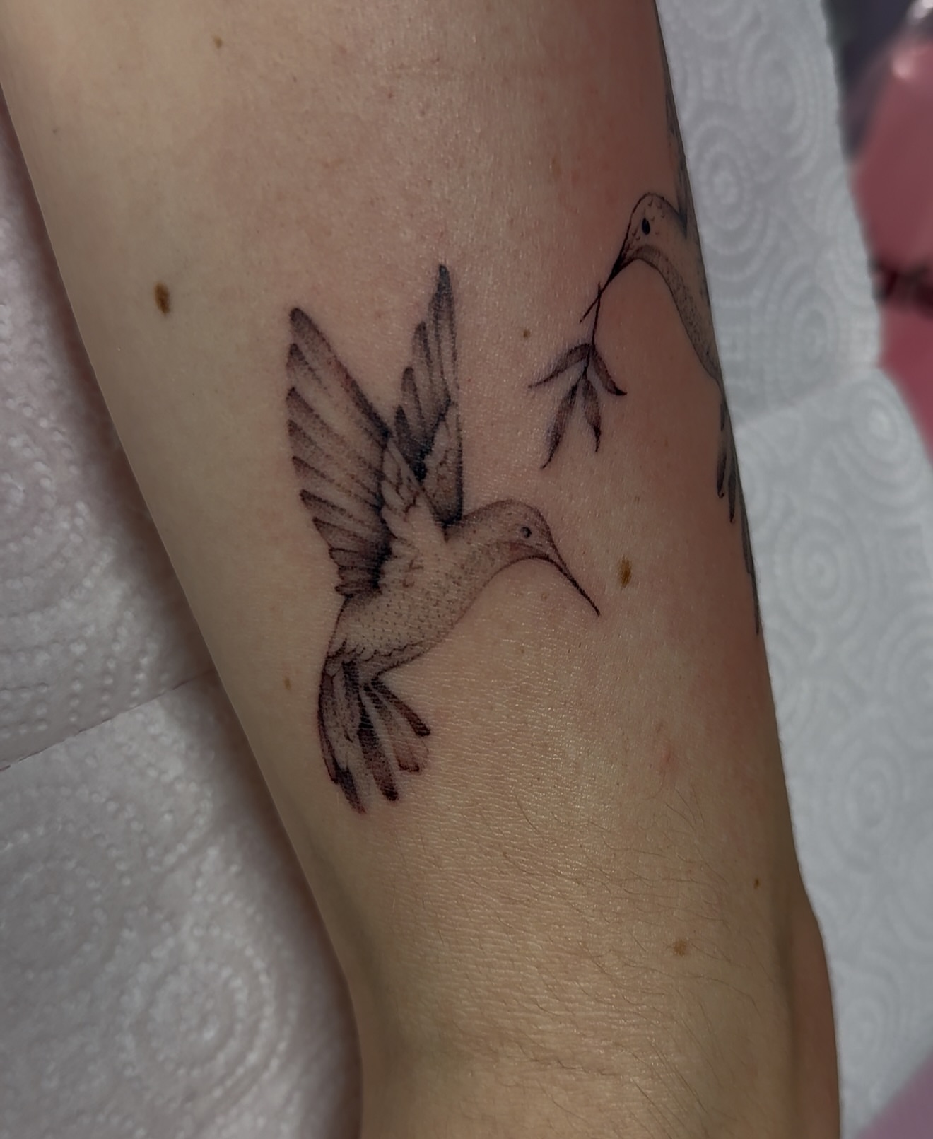 Hummingbird black and grey tattoo on the forearm by Tattoo Artist