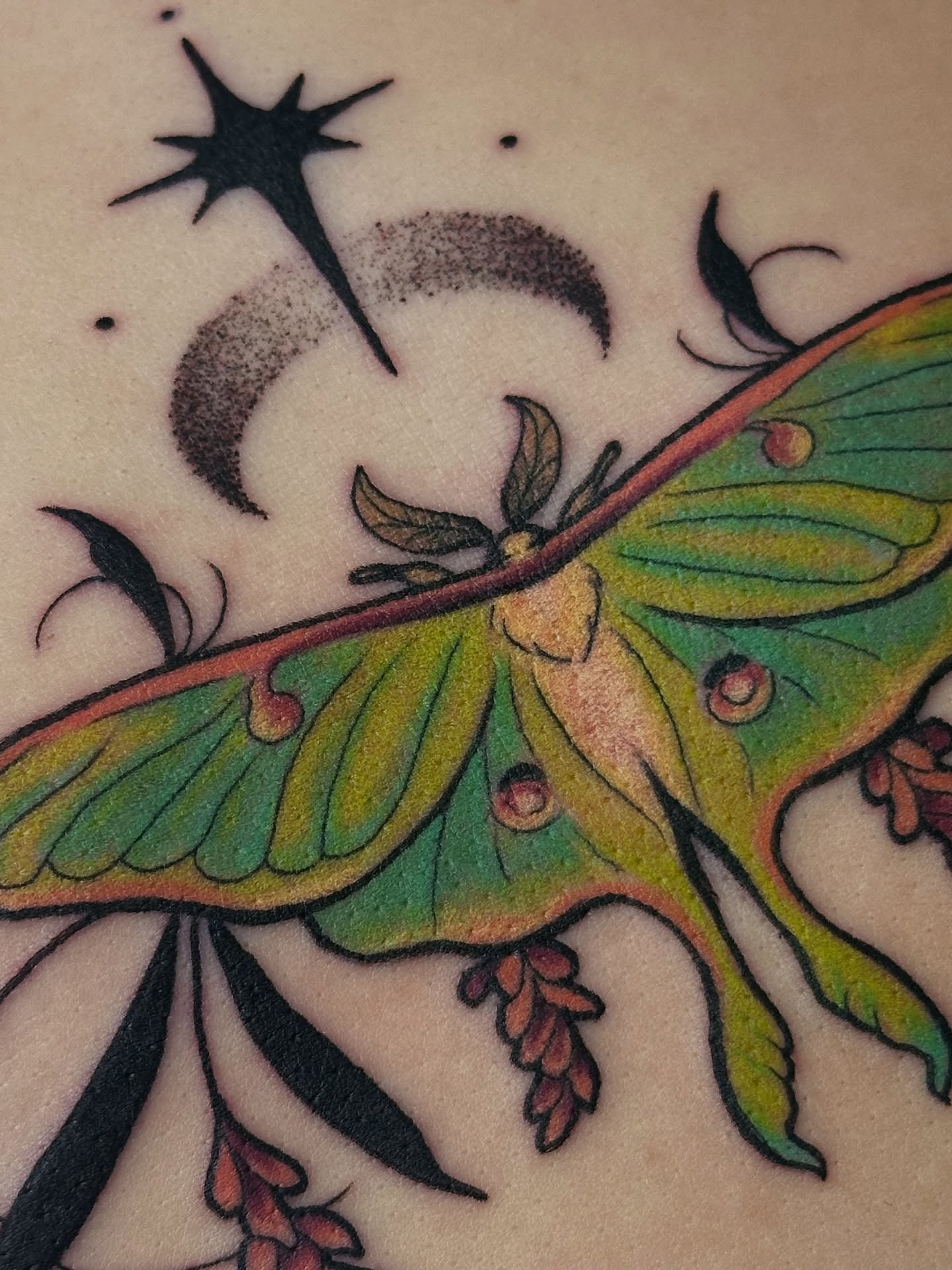 Moon moth American traditional tattoo on the torso by Summer Shield