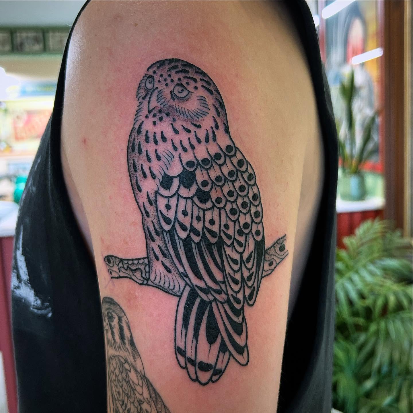 Owl dotwork tattoo on the upper arm by Erica Finley