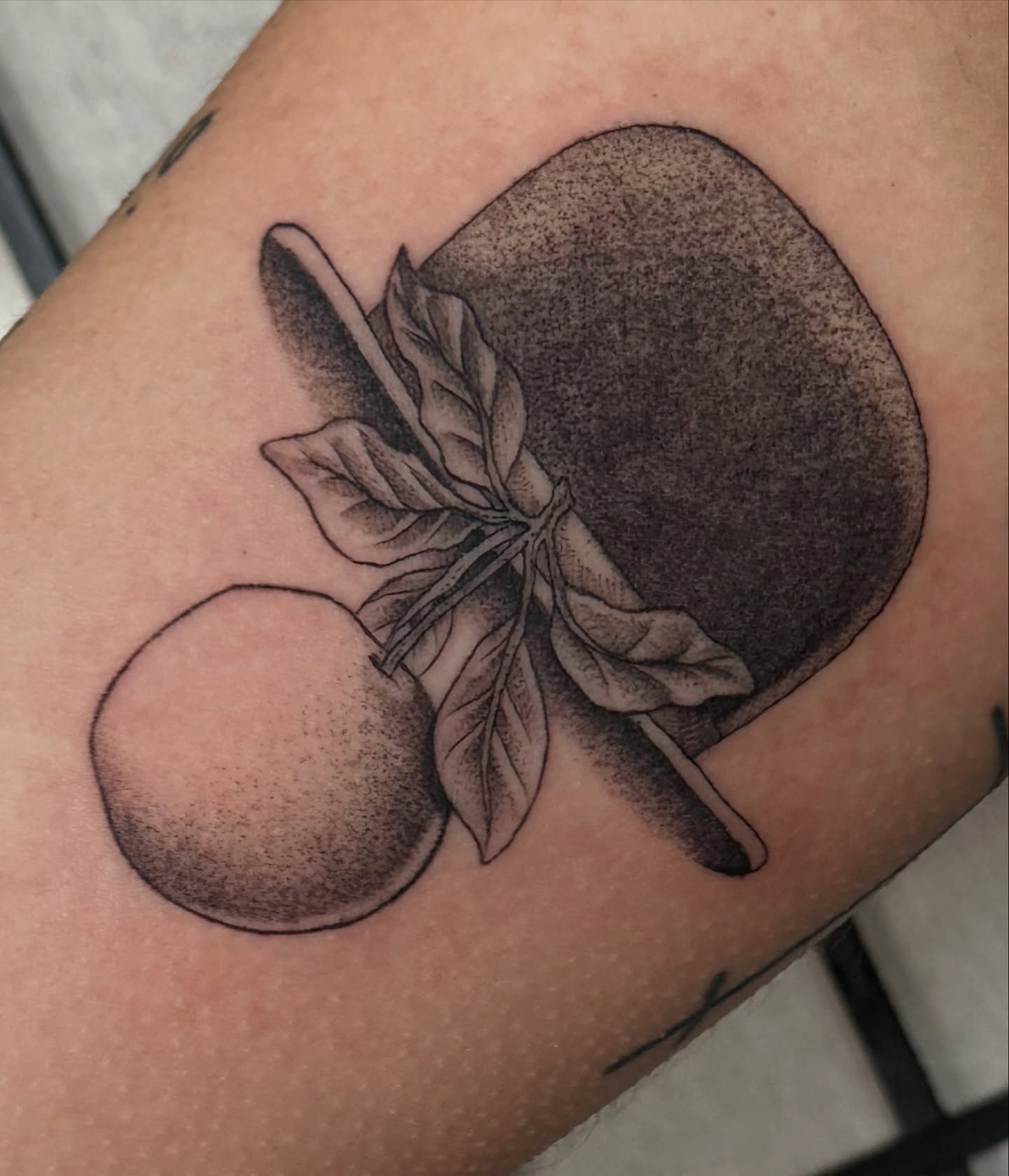 Peach and leaf dotwork tattoo on the forearm by Taylin Johnson- Illustrative Blackwork, Columbus, Ohio