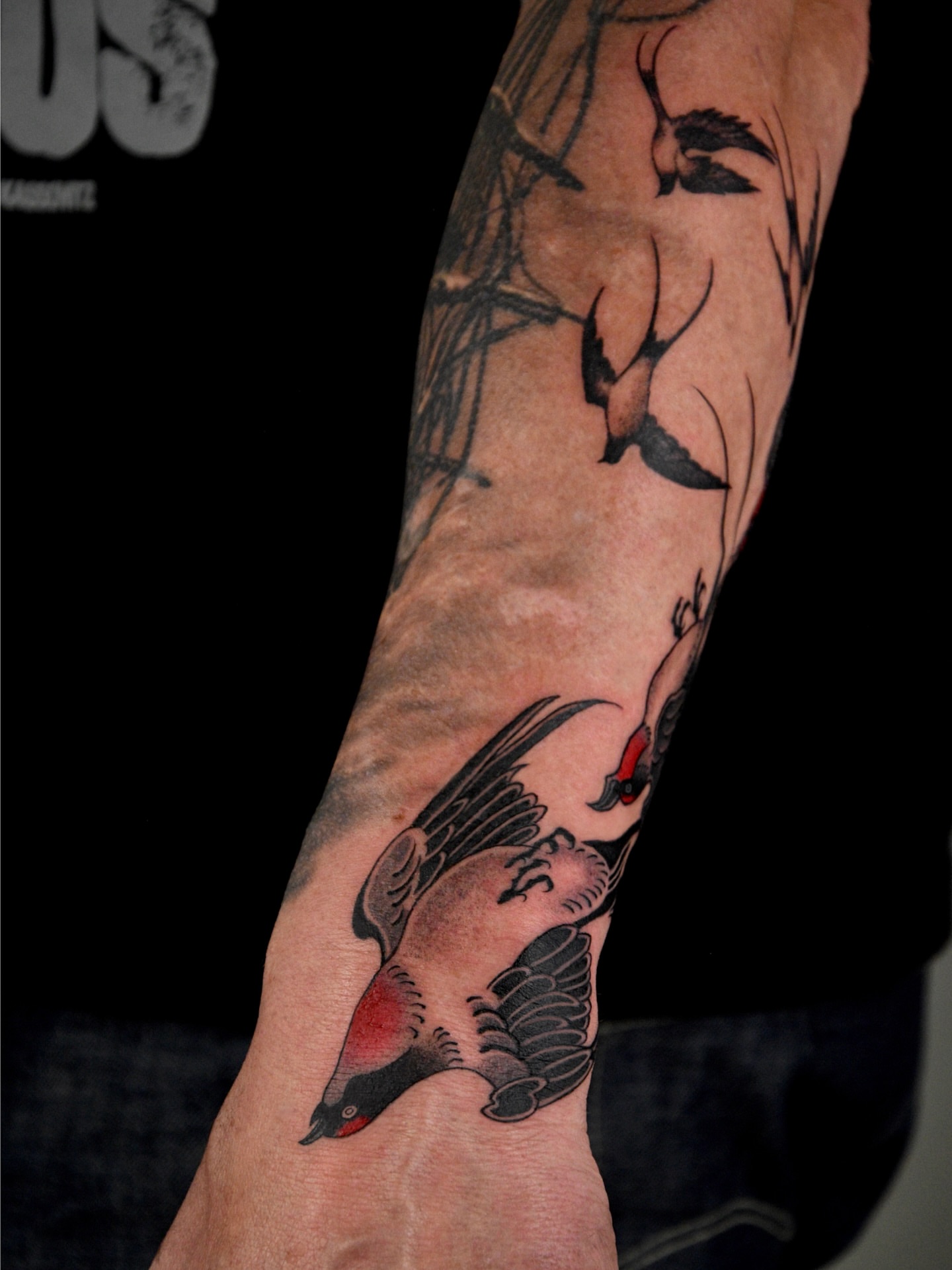 Bird American traditional tattoo on the forearm by ๐ก๐ฎ๐ป๐ฐ๐ โง ๐ก๐ฌ๐ ๐ง๐๐ง๐ง๐ข๐ข ๐๐ฅ๐ง๐๐ฆ๐งโง