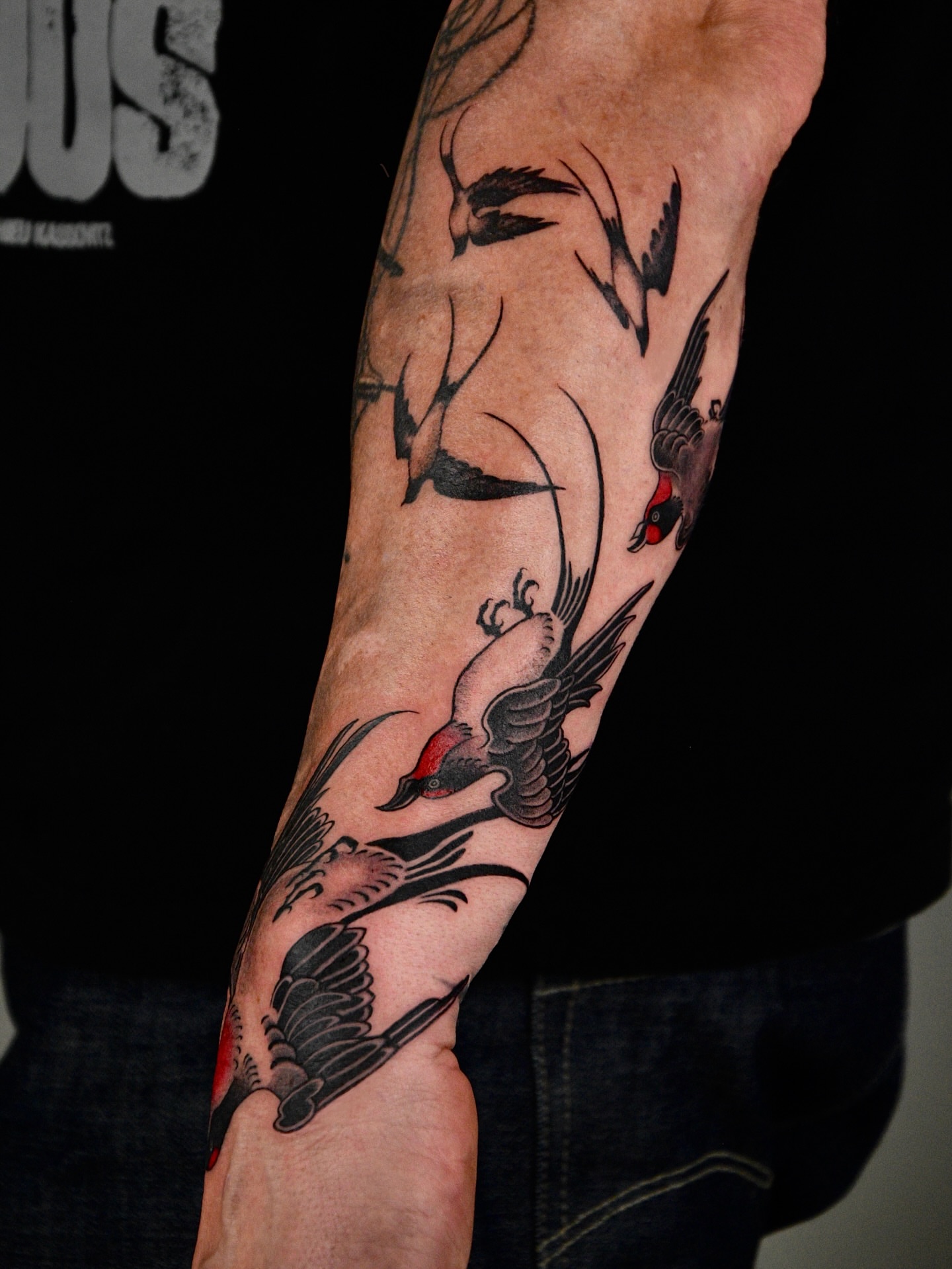 Birds American traditional tattoo on the forearm by ๐ก๐ฎ๐ป๐ฐ๐ โง ๐ก๐ฌ๐ ๐ง๐๐ง๐ง๐ข๐ข ๐๐ฅ๐ง๐๐ฆ๐งโง