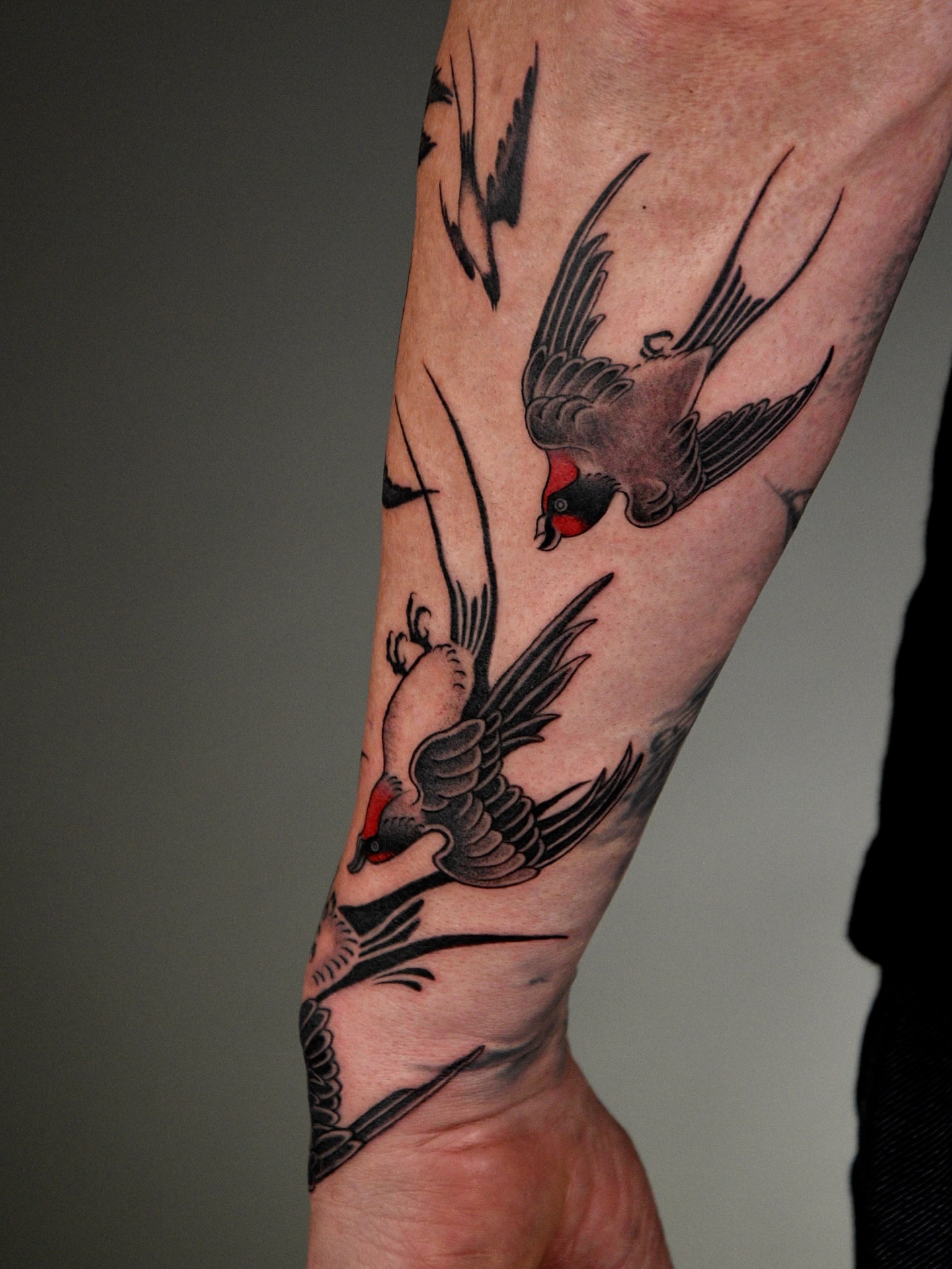Swallows American traditional tattoo on the forearm by ๐ก๐ฎ๐ป๐ฐ๐ โง ๐ก๐ฌ๐ ๐ง๐๐ง๐ง๐ข๐ข ๐๐ฅ๐ง๐๐ฆ๐งโง