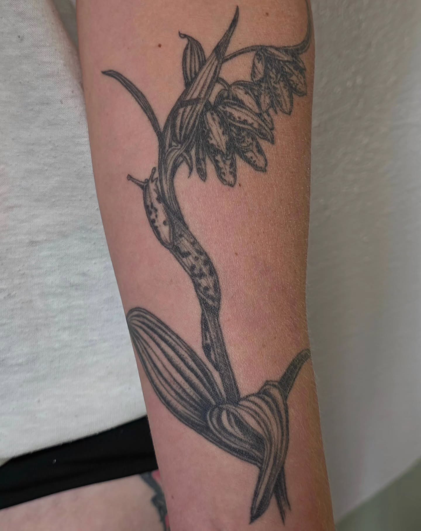 Orchid black and grey tattoo on the forearm by Sierra (cc) Klein