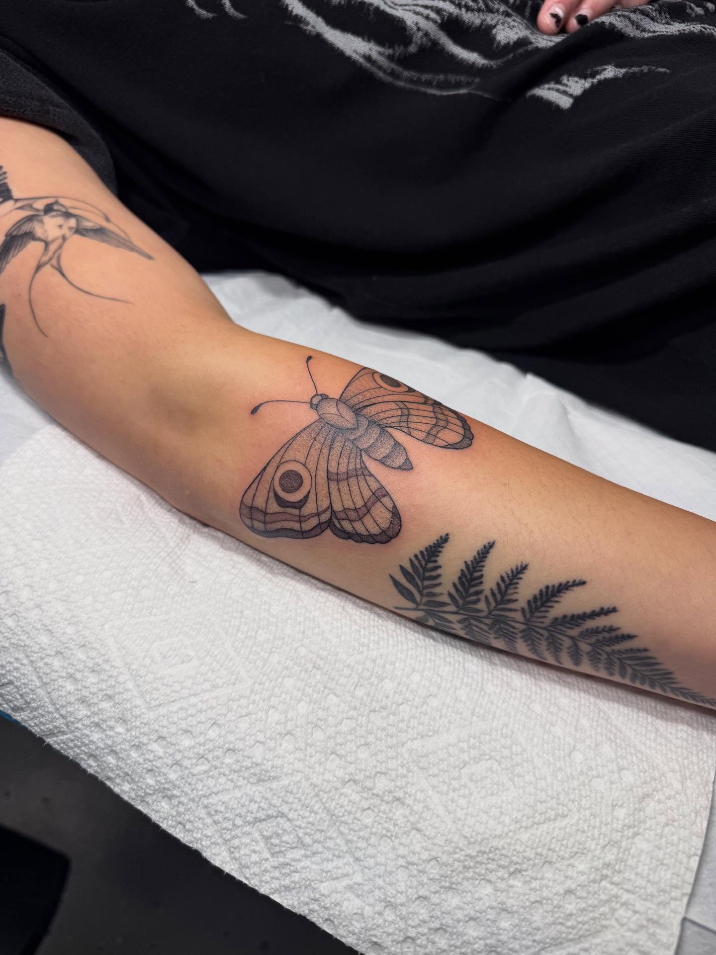Butterfly and fern black and grey tattoo on the forearm by Maddie Jo DeYoung