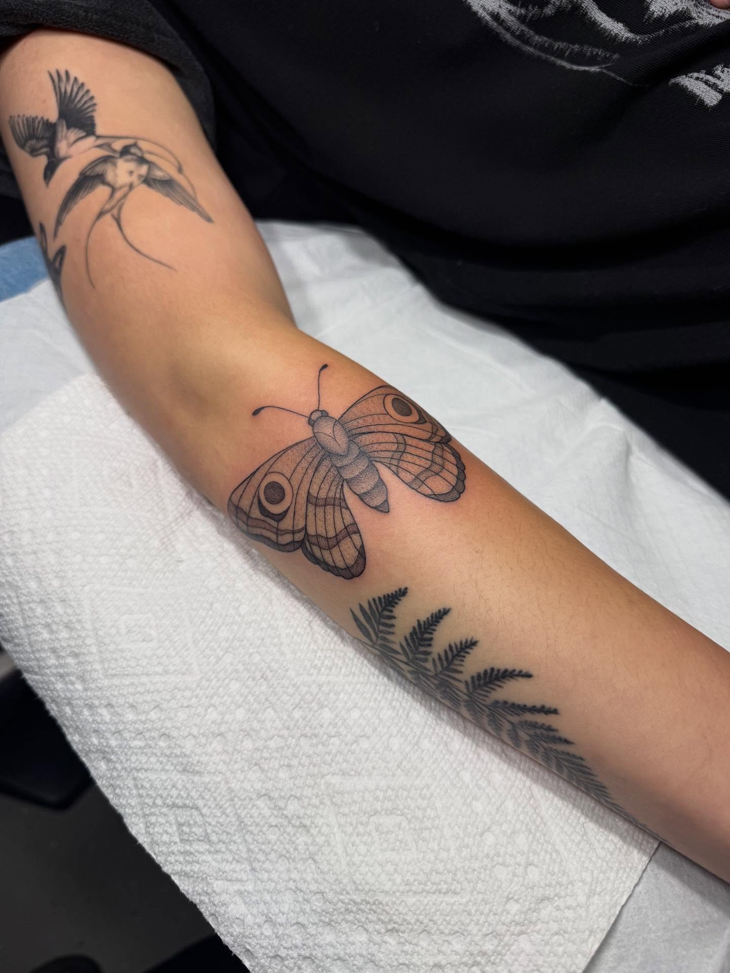 Butterfly black and grey tattoo on the forearm by Maddie Jo DeYoung