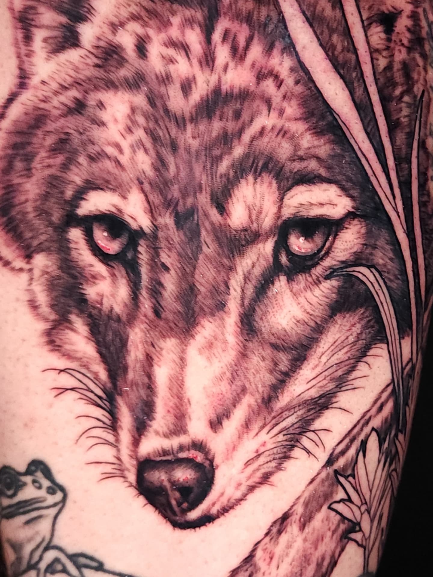 Wolf realism tattoo on the forearm by Mario Romero