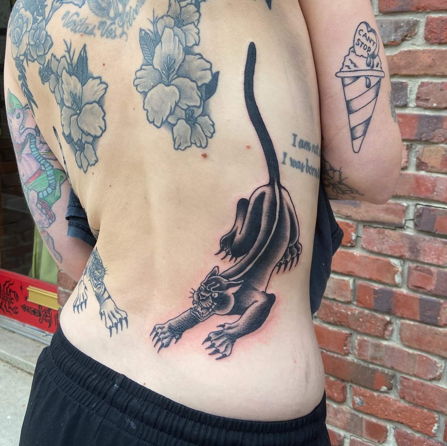 Cat black and grey tattoo on the back by Anthony Robles