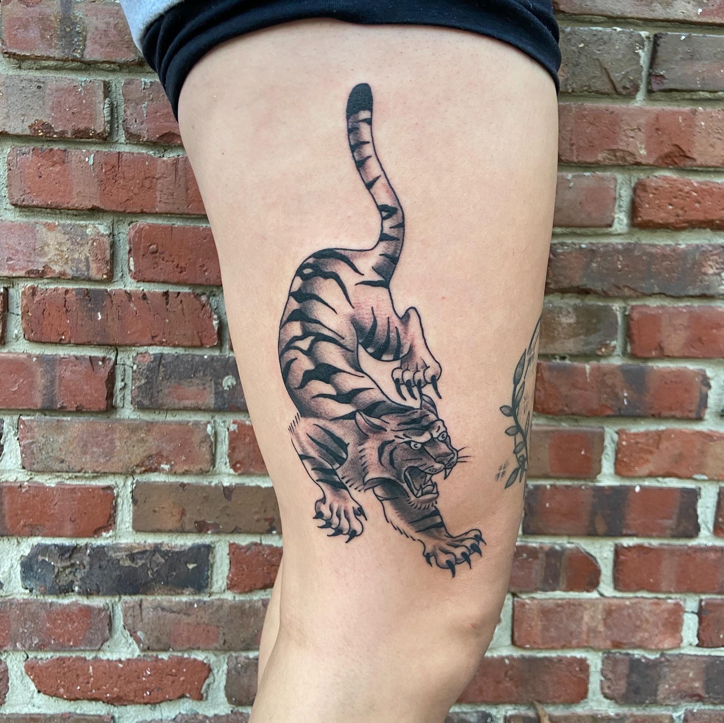 Tiger black and grey tattoo on the thigh by Anthony Robles