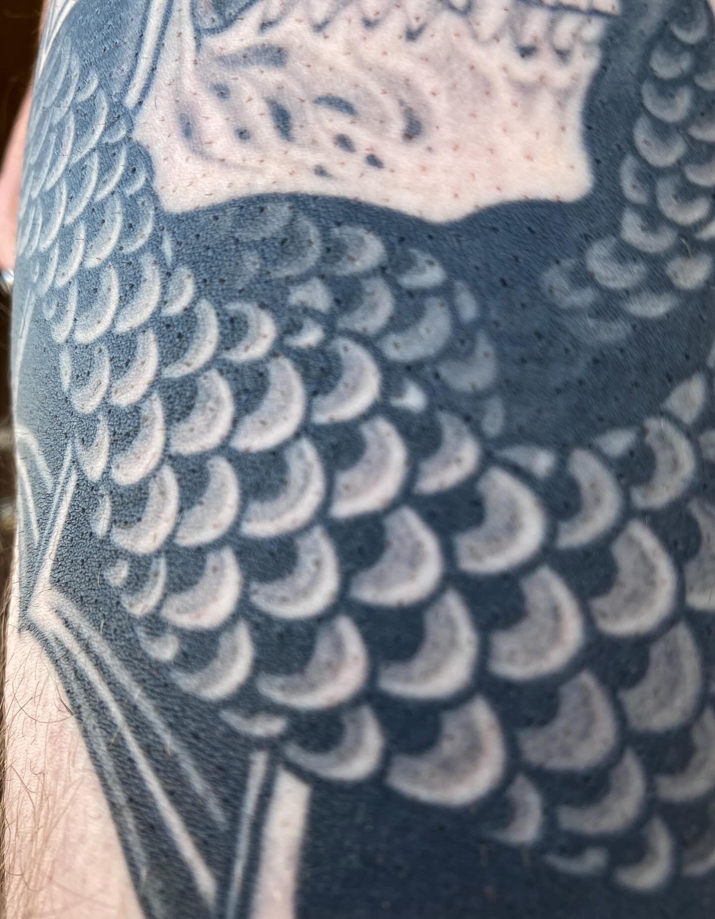 Tattoo by @aaronriddletattoos — black_and_grey
