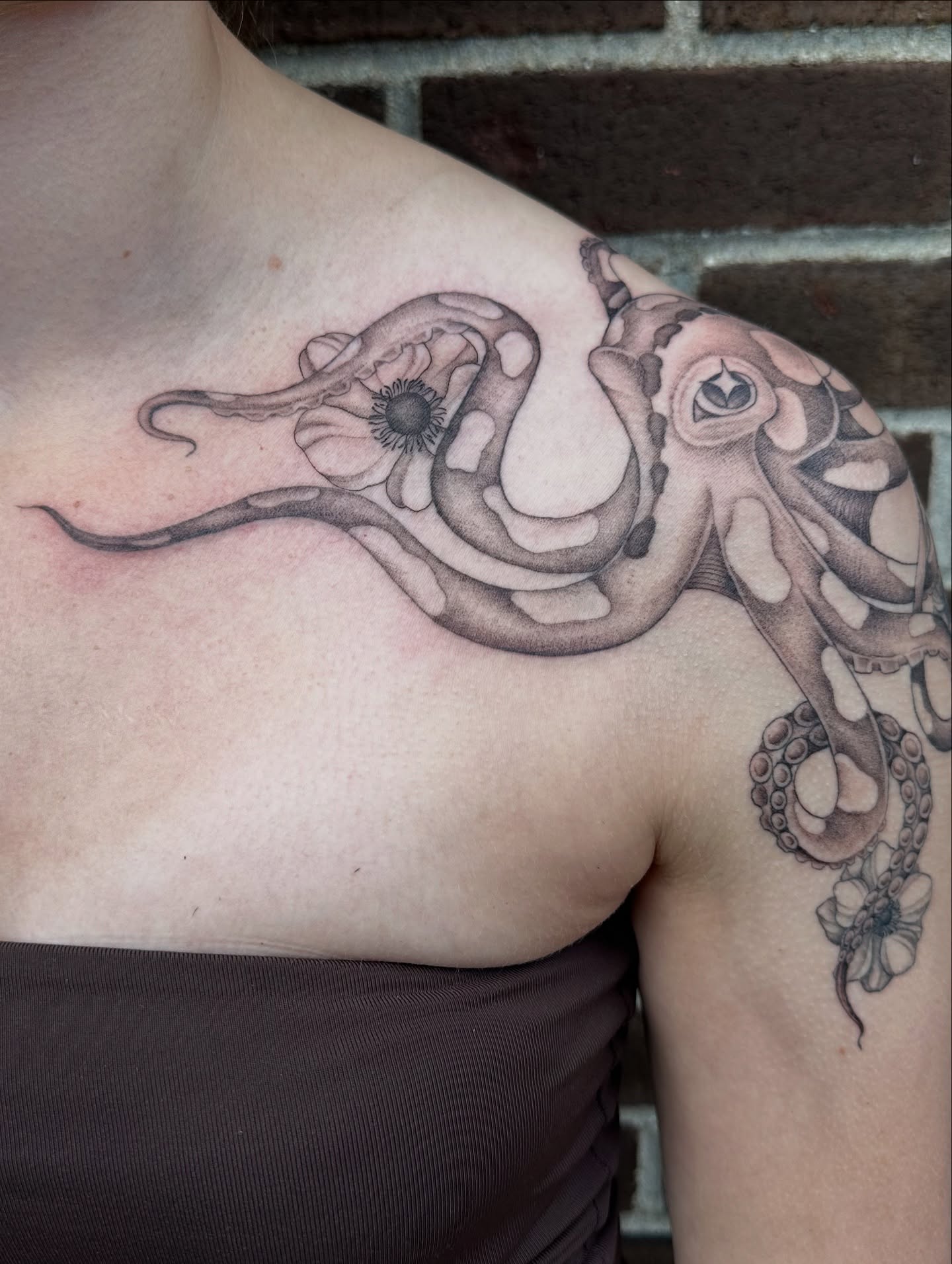 Octopus realism tattoo on the shoulder by Hail Chaney, Somerville, Massachusetts