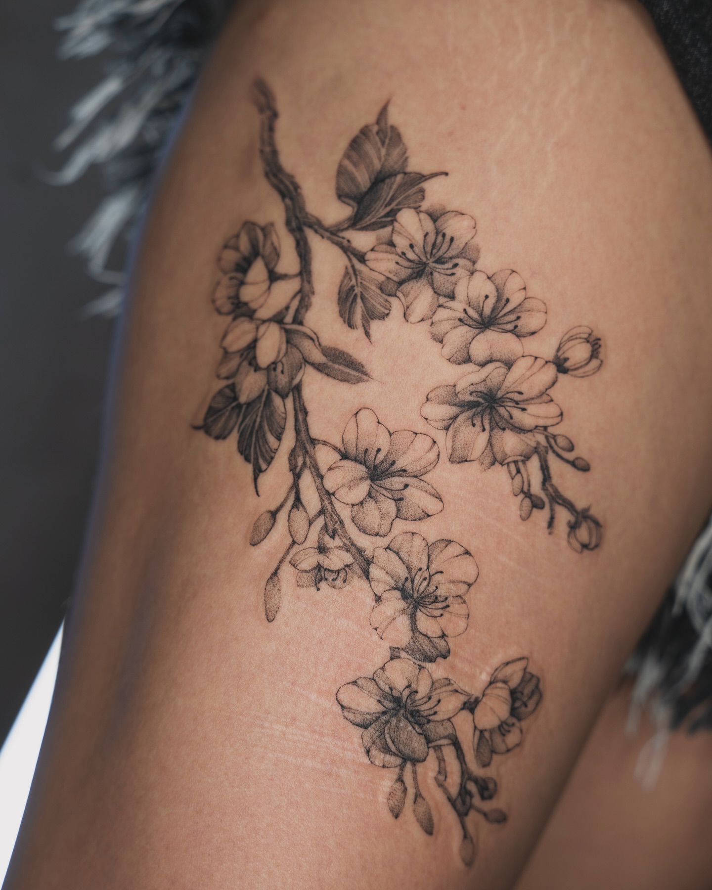 Cherry blossoms black and grey tattoo on the thigh by Tri