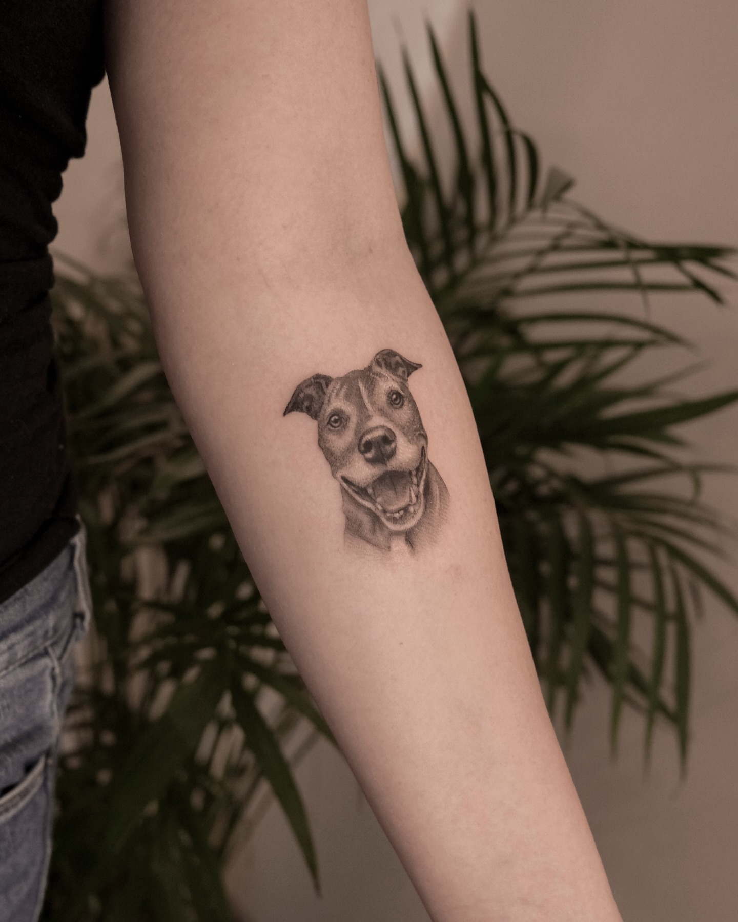 Dog realism tattoo on the forearm by Nicholas Solomon