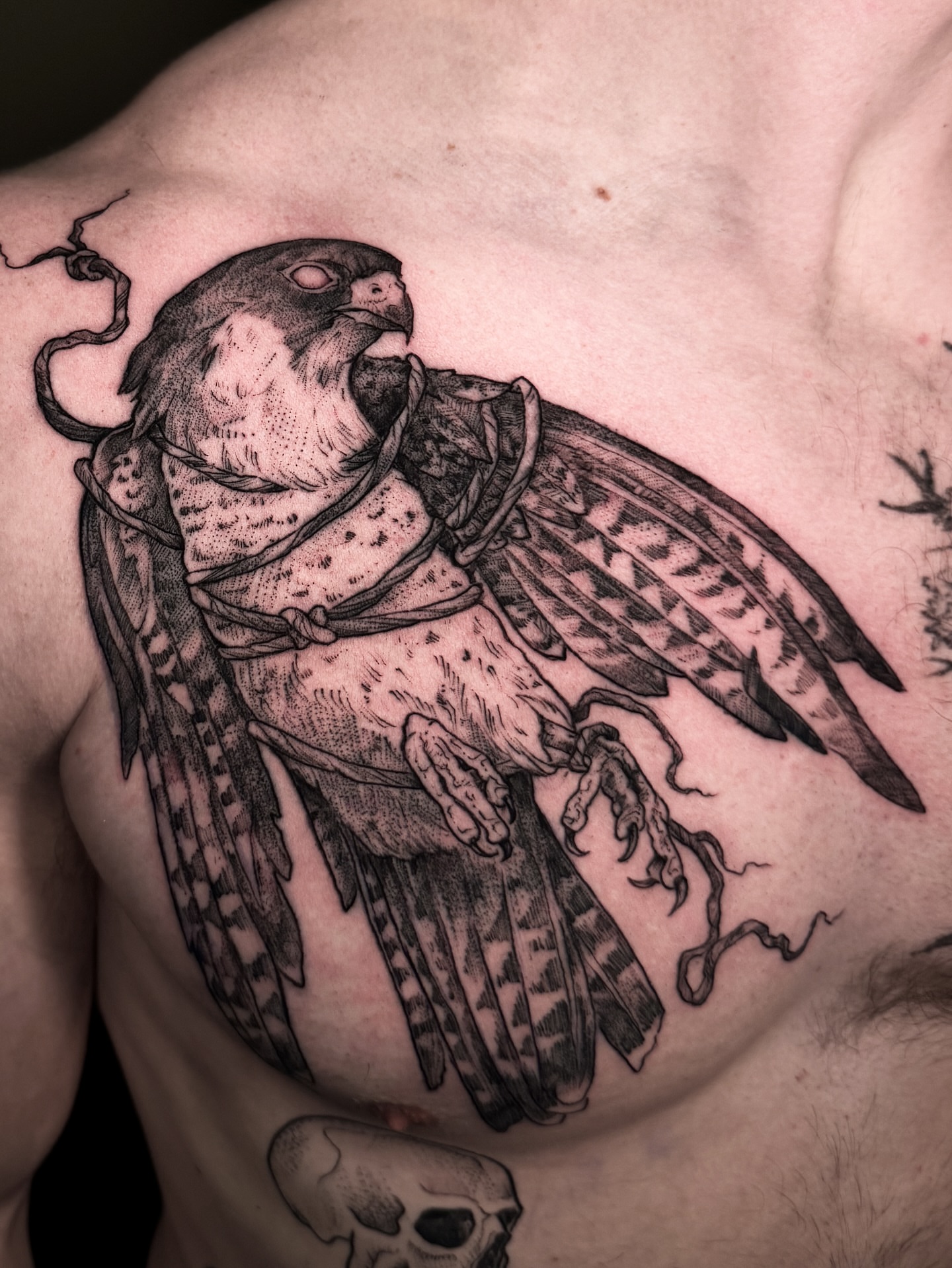 Hawk black and grey tattoo on the chest by Renee (Koi) Vance