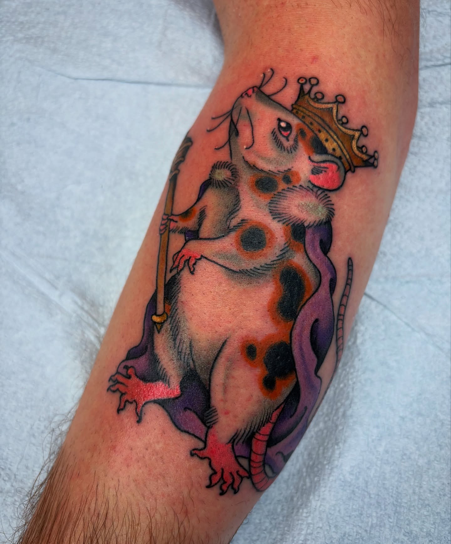 Frog with crown American traditional tattoo on the forearm by Adam Bailey, Portland, Oregon