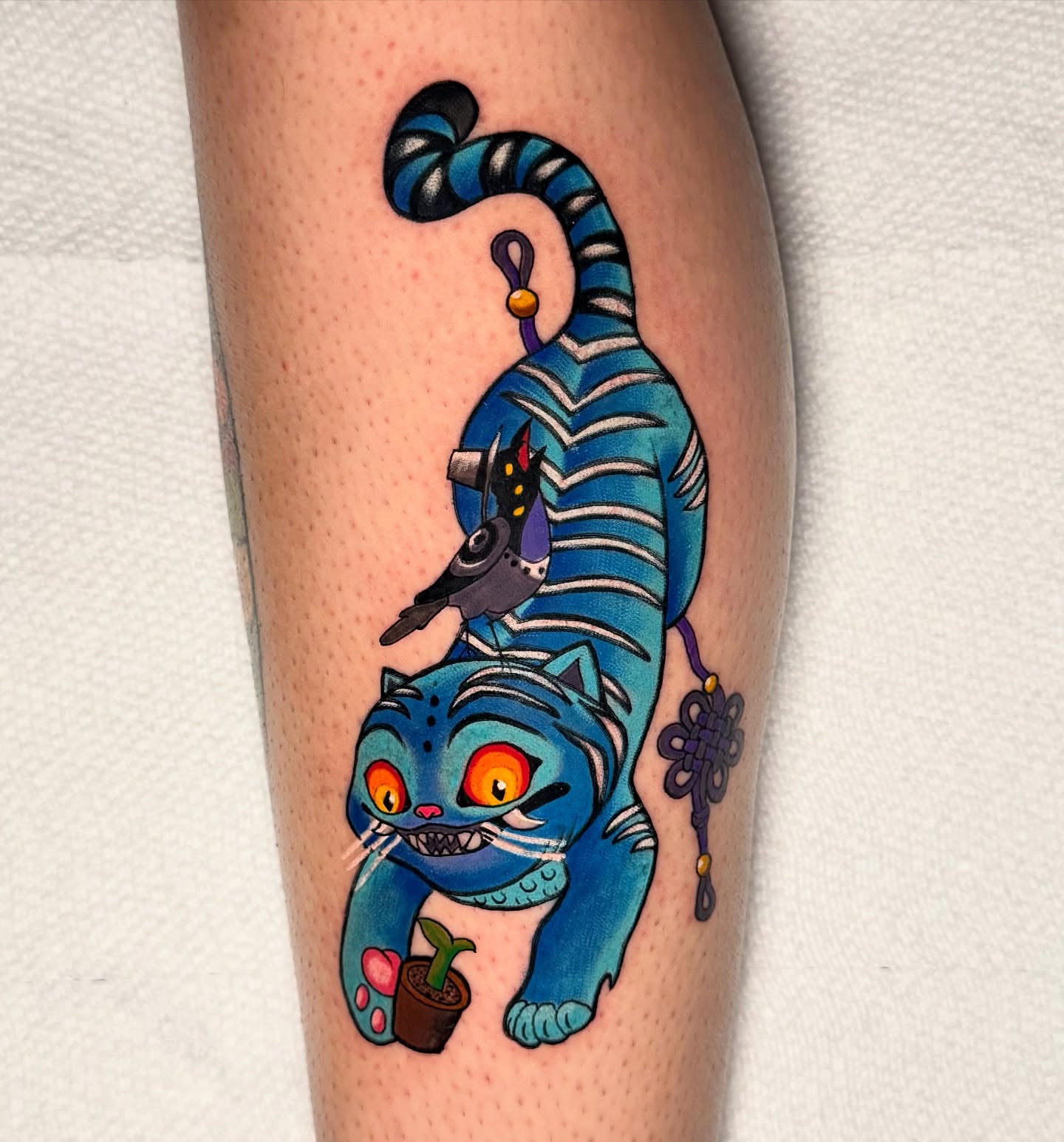 Blue tiger new school tattoo on the calf by Jennifer Kovach, Gastonia, North Carolina