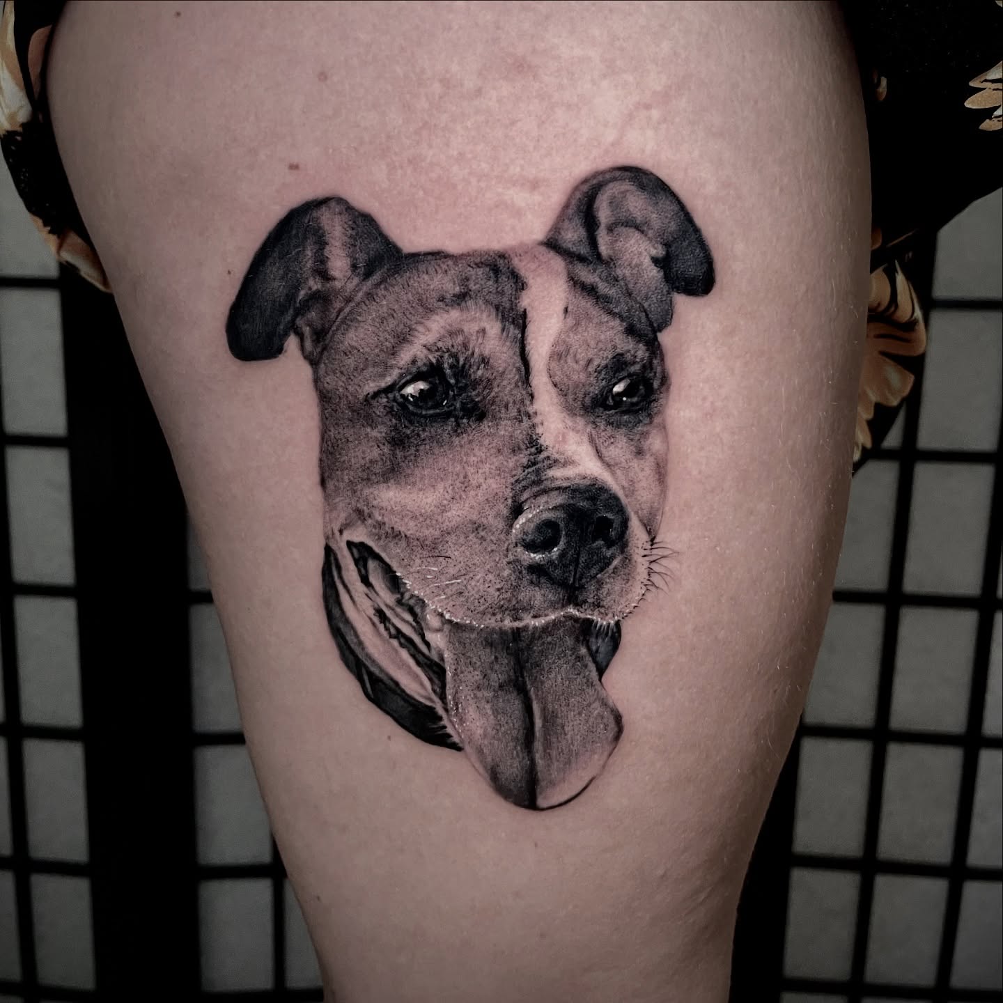 Dog realism tattoo on the thigh by Xavi Xiva TATTOO