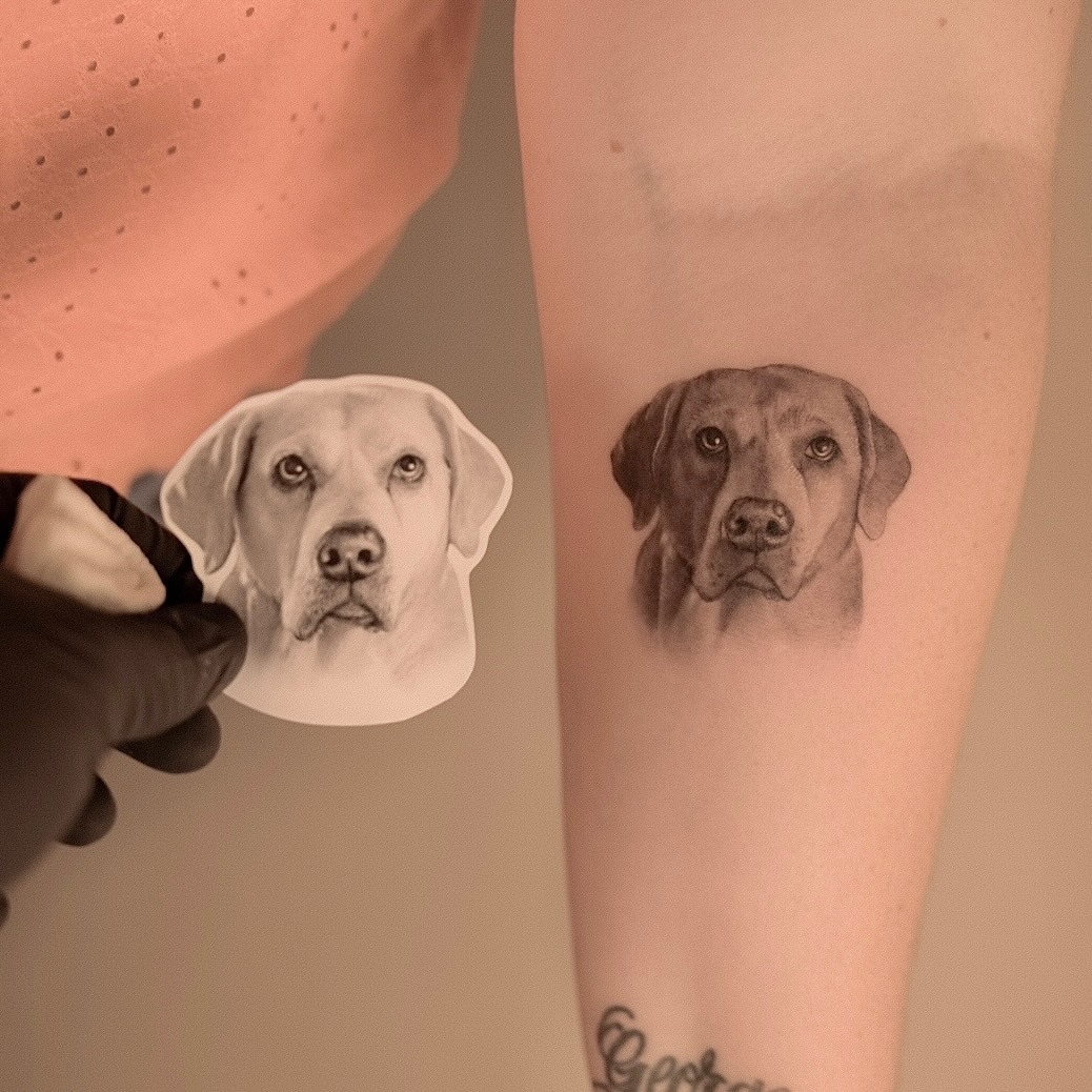 Dog portrait realism tattoo on the forearm by Nicholas Solomon