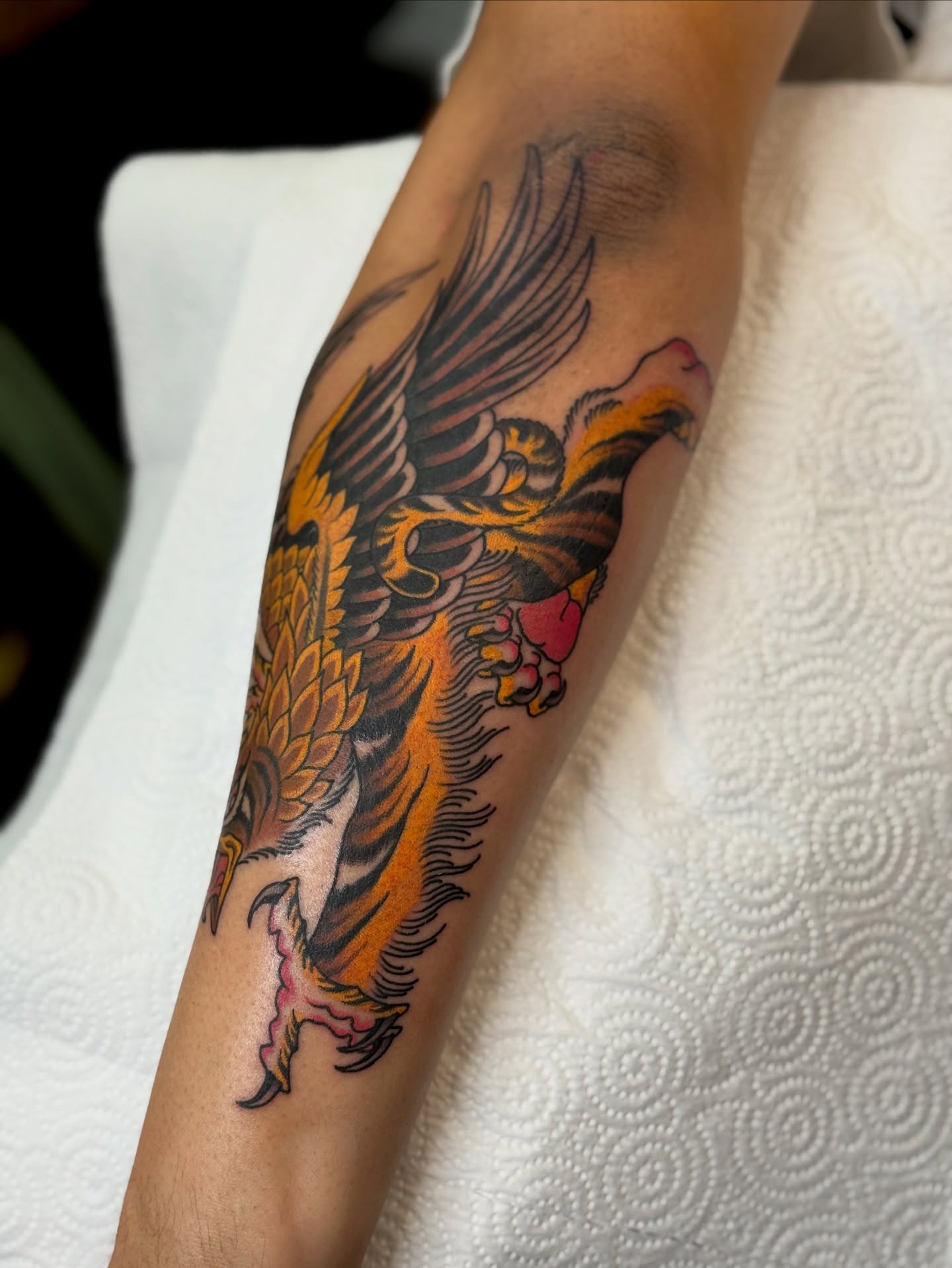 Phoenix American traditional tattoo on the forearm by Christopher  Cousins, Nashville, Tennessee