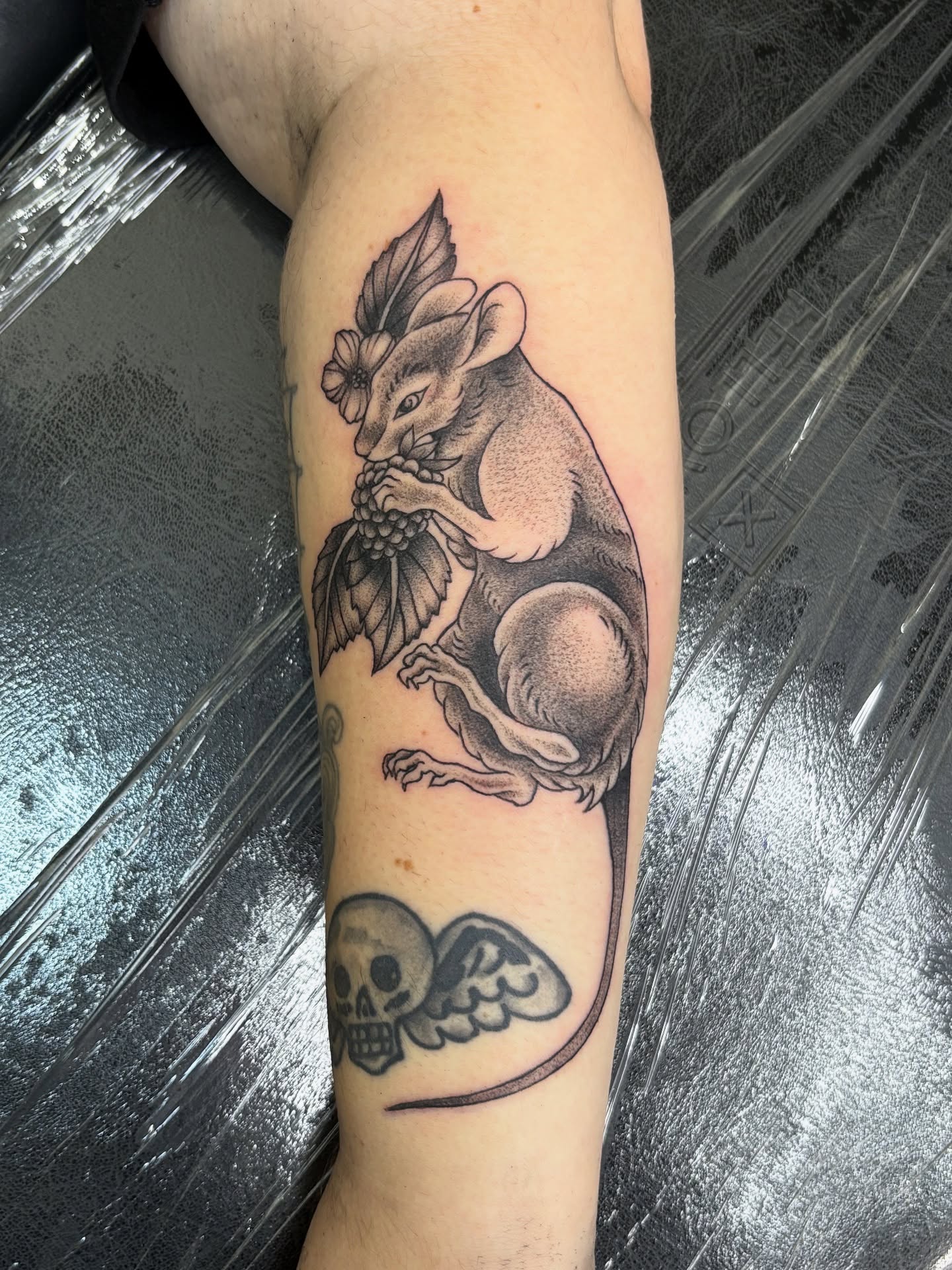 Rat with grapes dotwork tattoo on the forearm by Jamie Yuu, Minneapolis, Minnesota