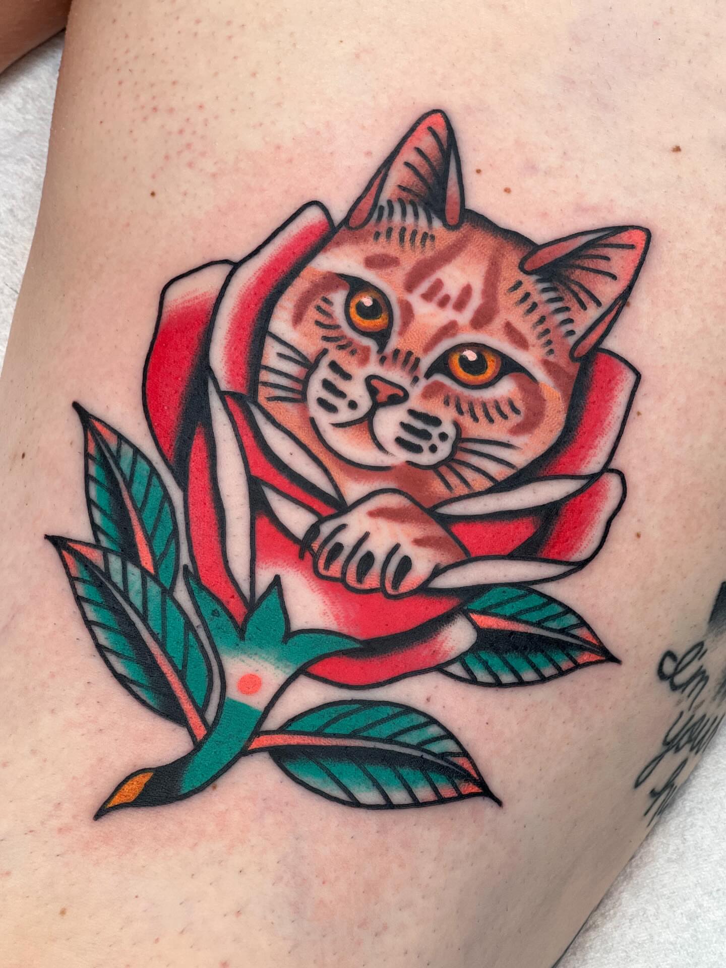 Cat in rose American traditional tattoo on the upper arm by Blake Francis, Worcester, Massachusetts